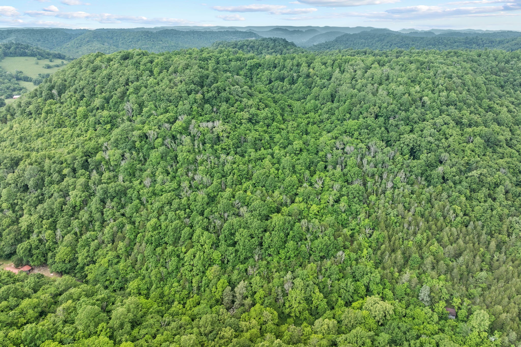 333 Cubbins Hollow Rd