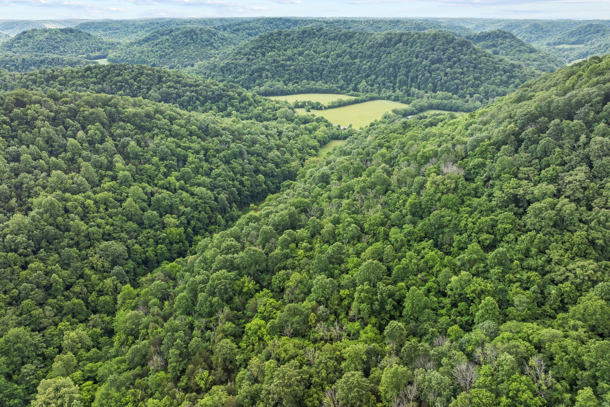 333 Cubbins Hollow Rd