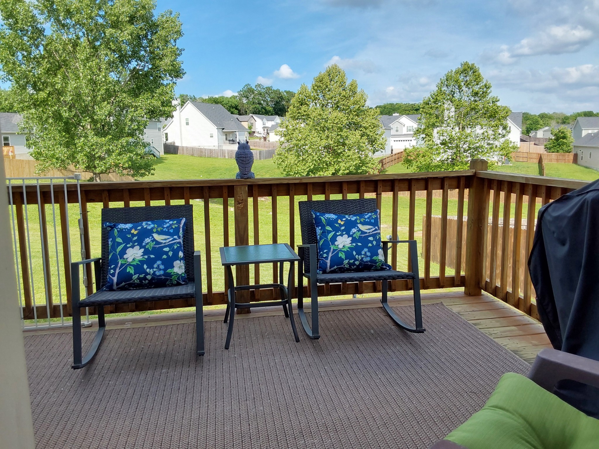 1095 Lady Nashville Dr