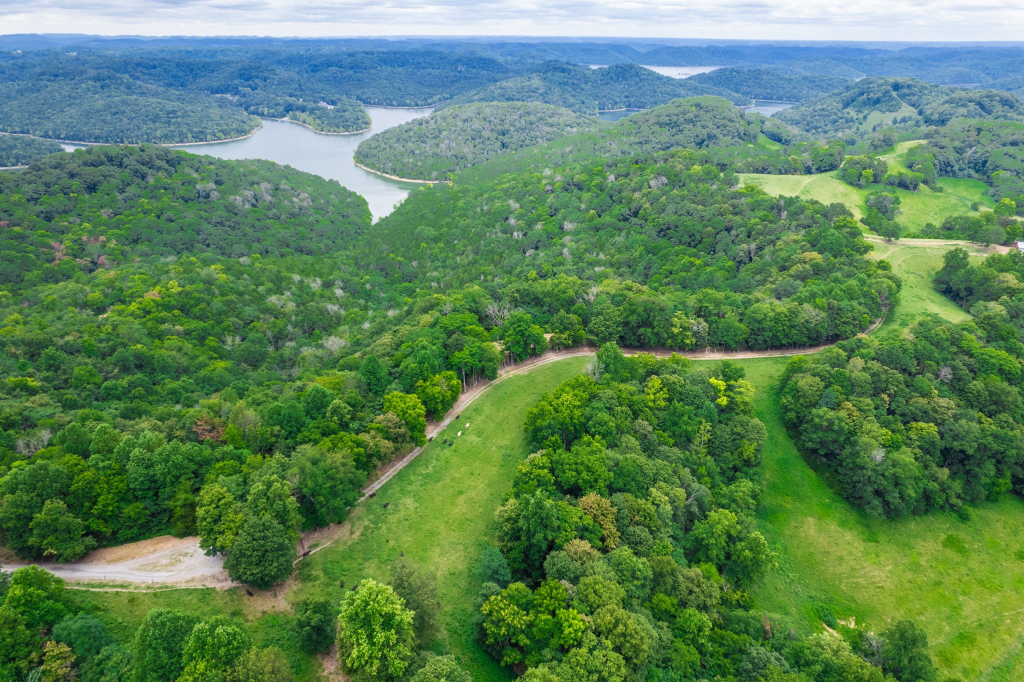 4445 Hurricane Ridge Rd