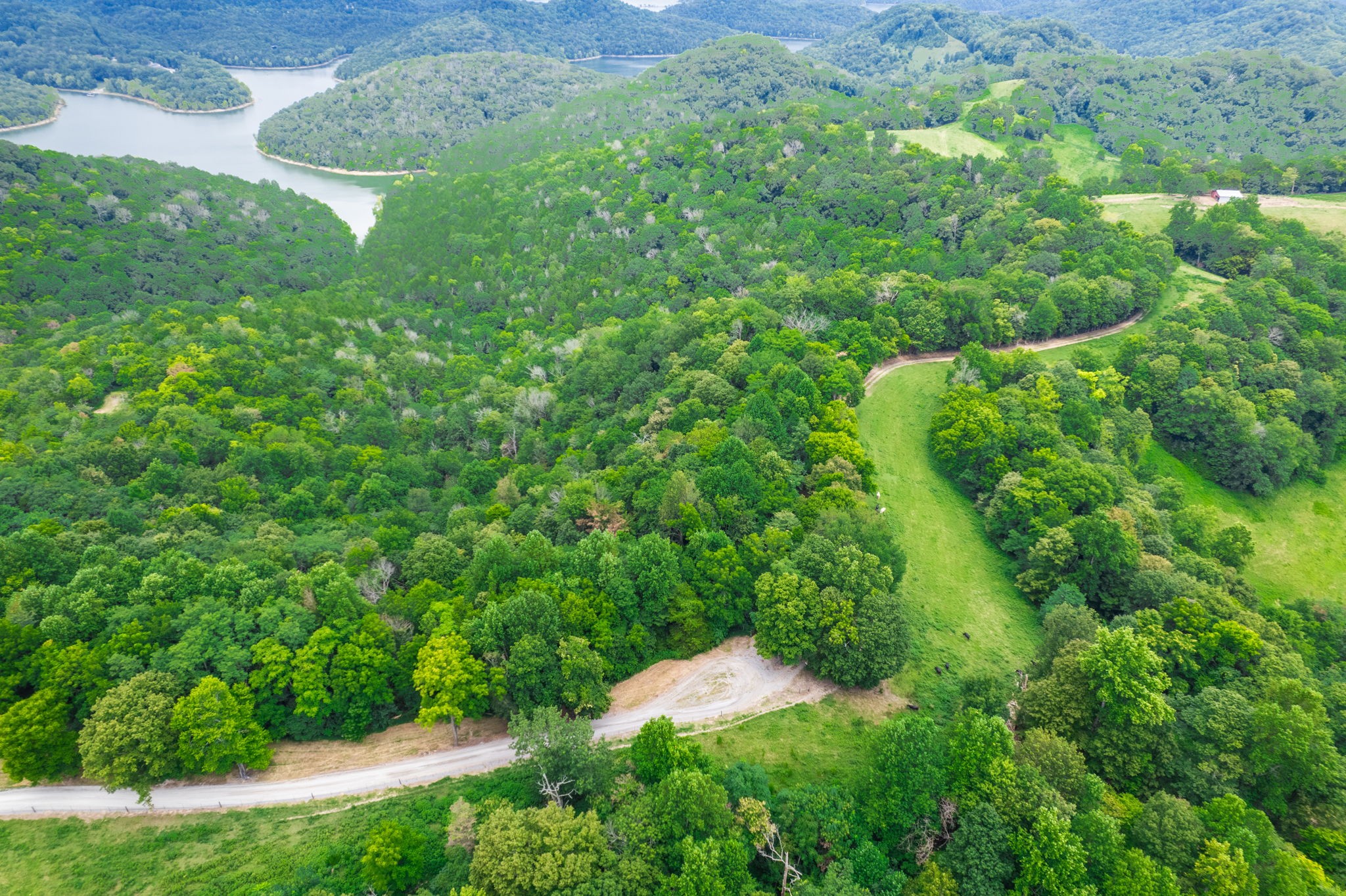 4445 Hurricane Ridge Rd