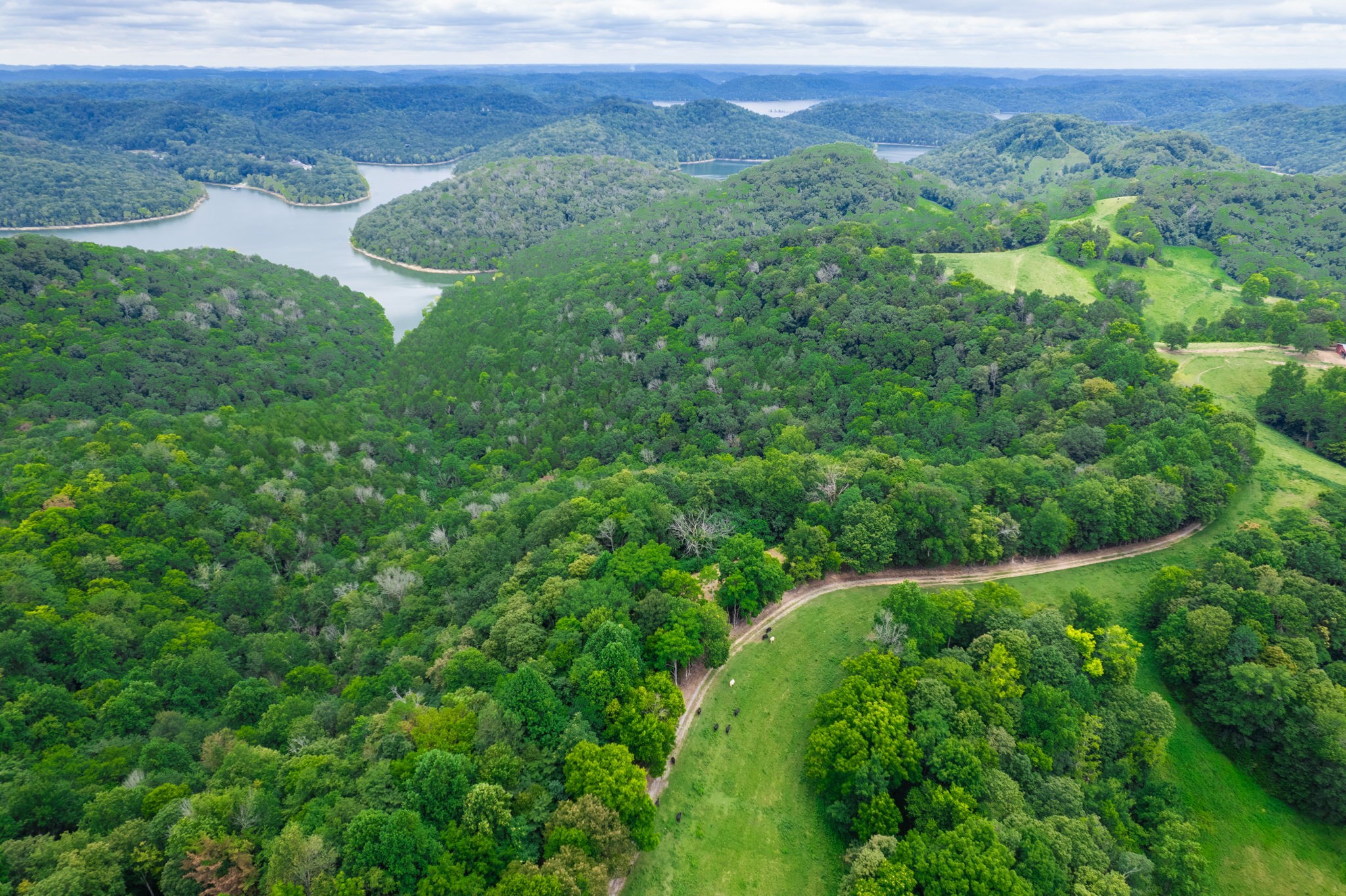 4445 Hurricane Ridge Rd