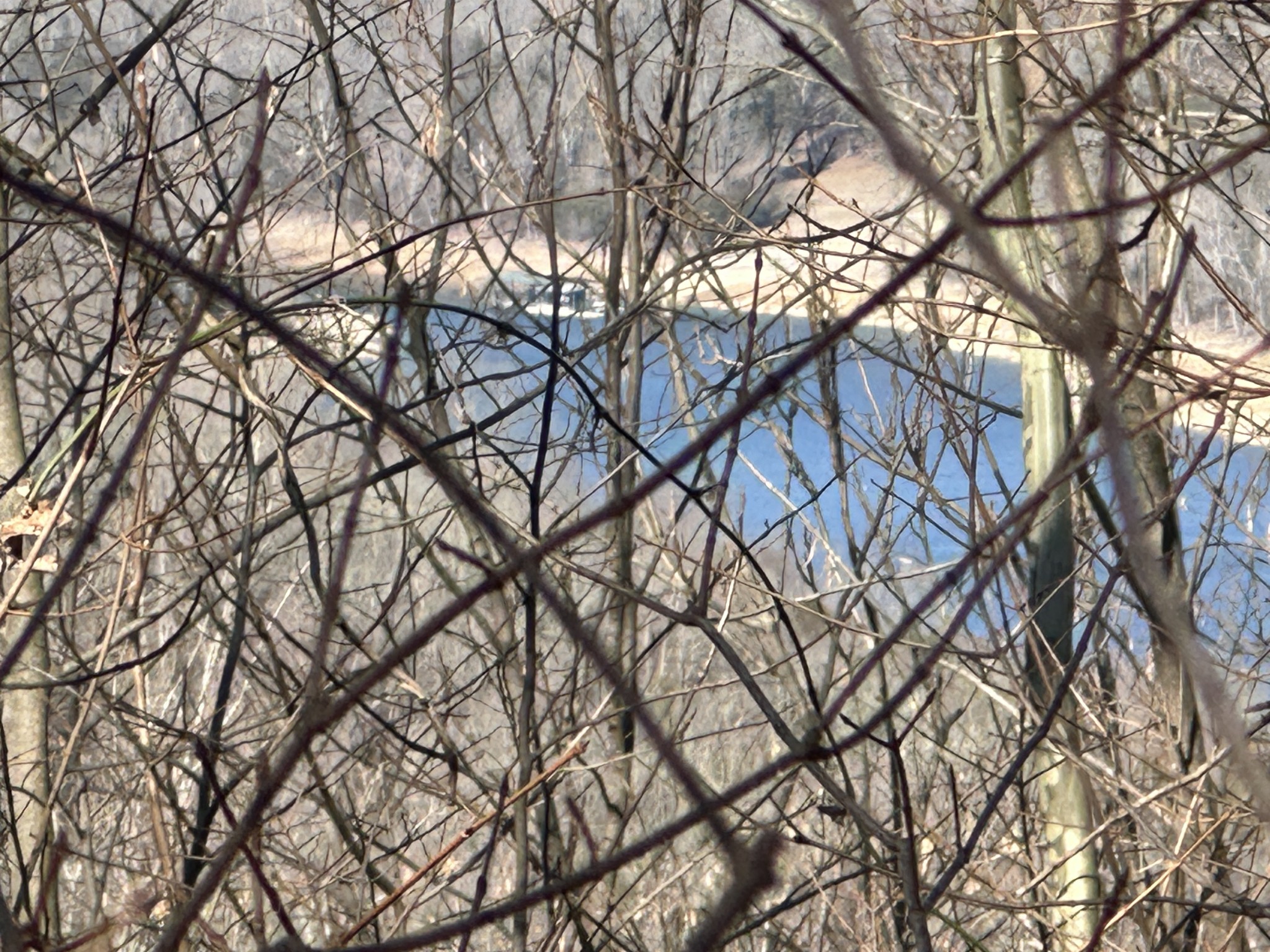 0 Hurricane Ridge Rd