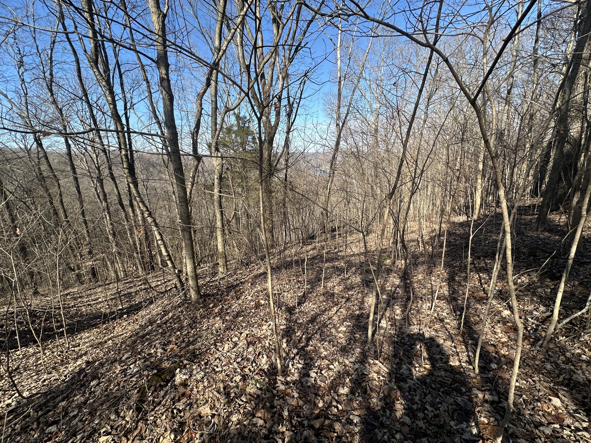 0 Hurricane Ridge Rd