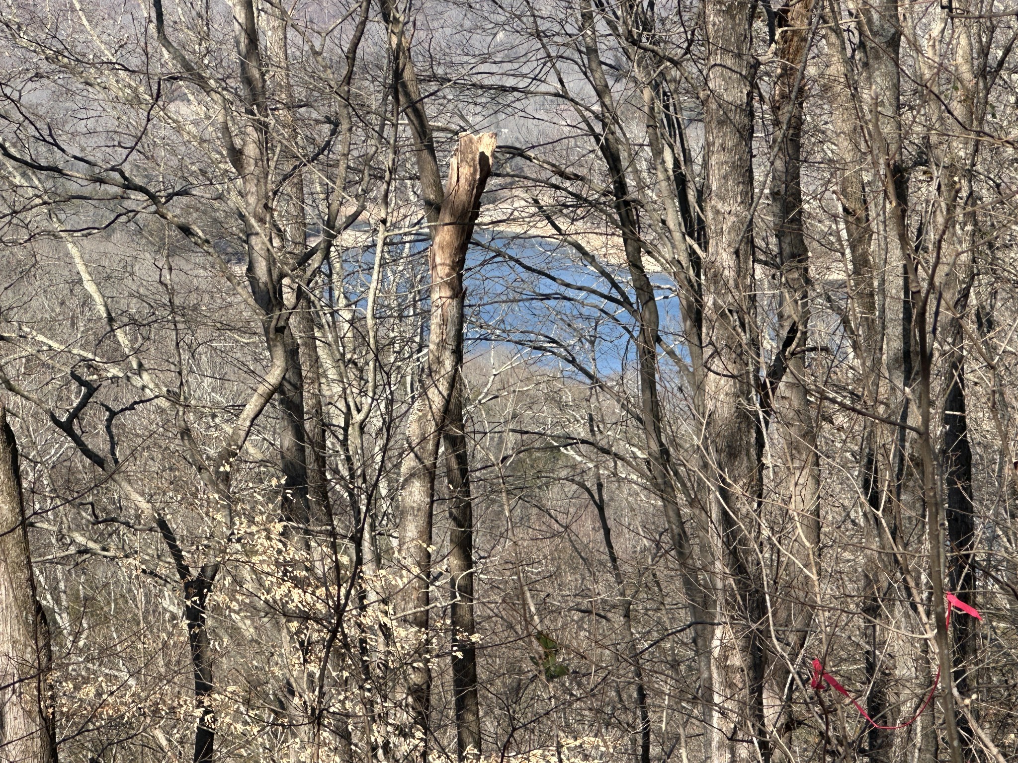 0 Hurricane Ridge Rd