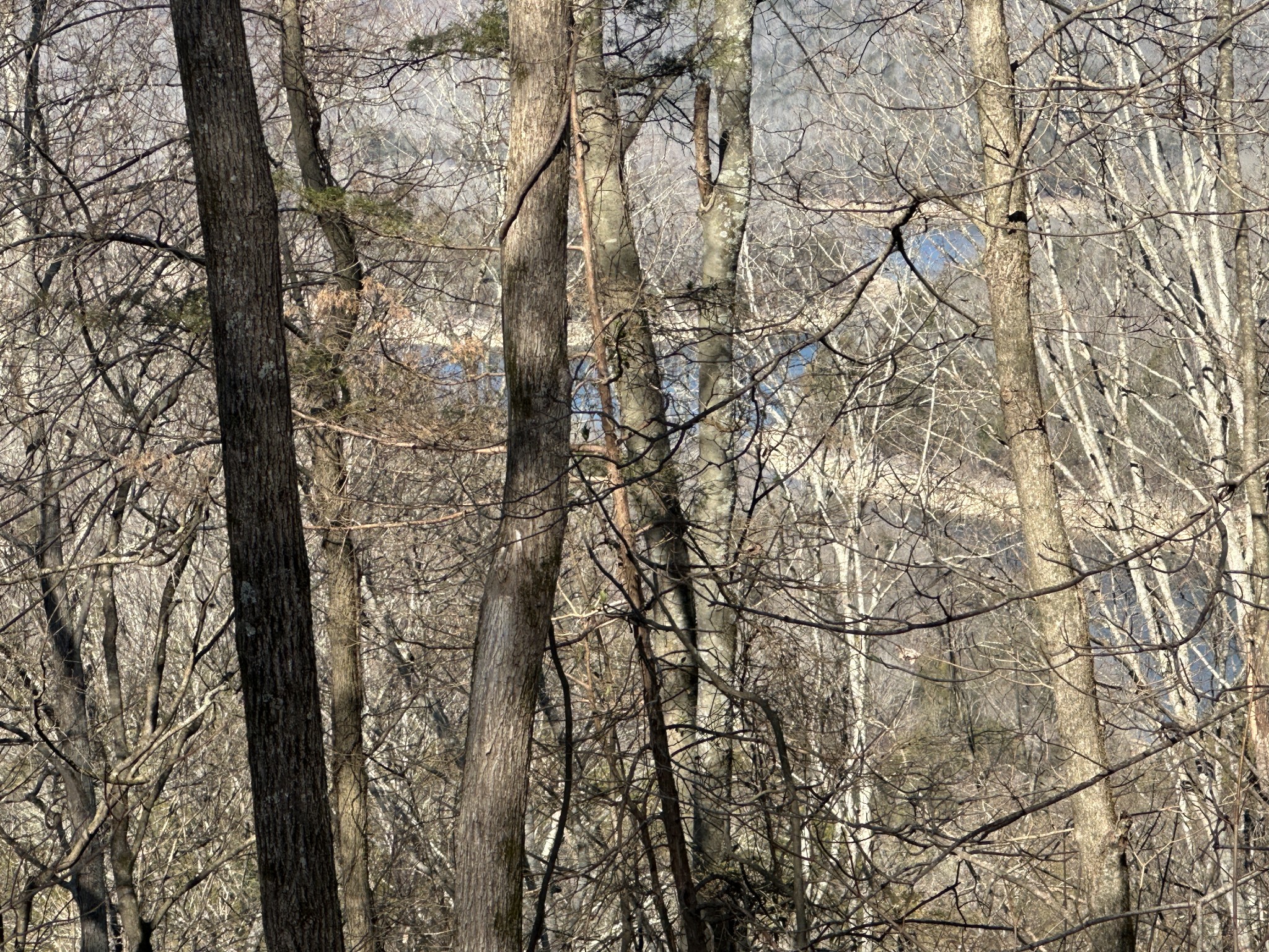 0 Hurricane Ridge Rd