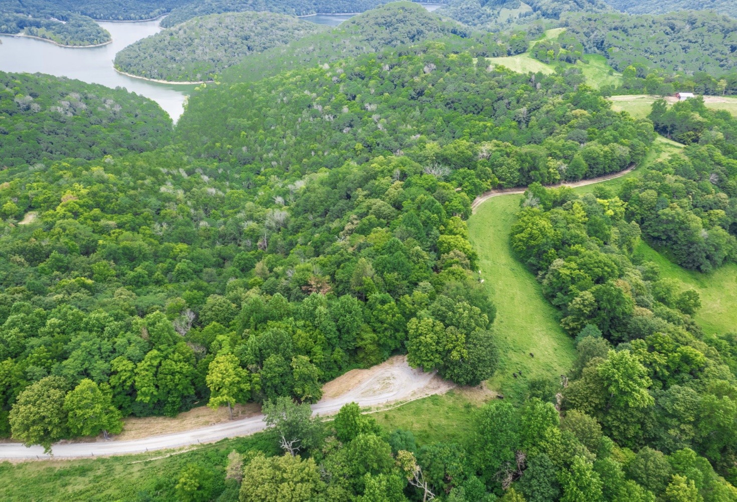 0 Hurricane Ridge Rd