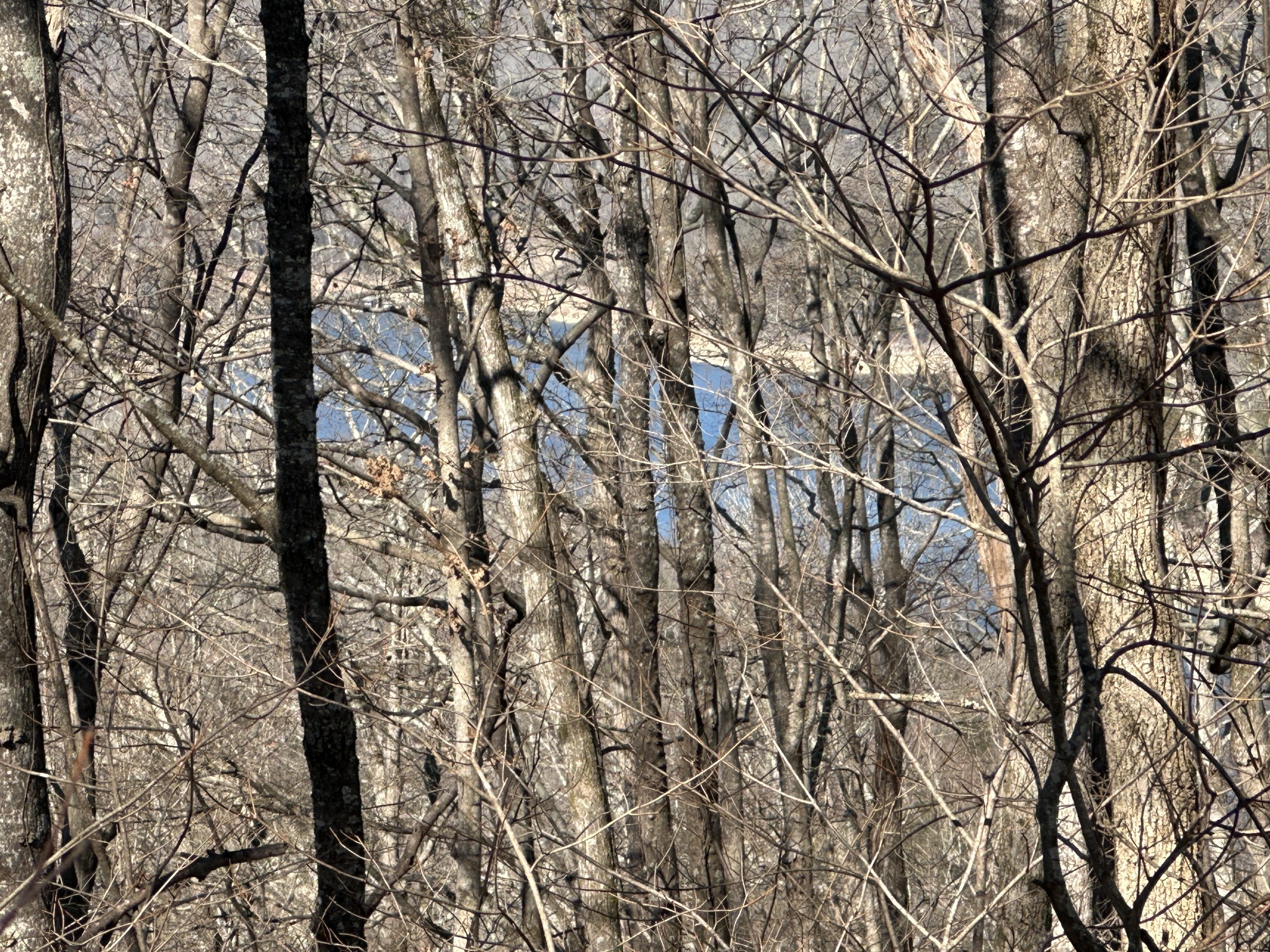 0 Hurricane Ridge Rd