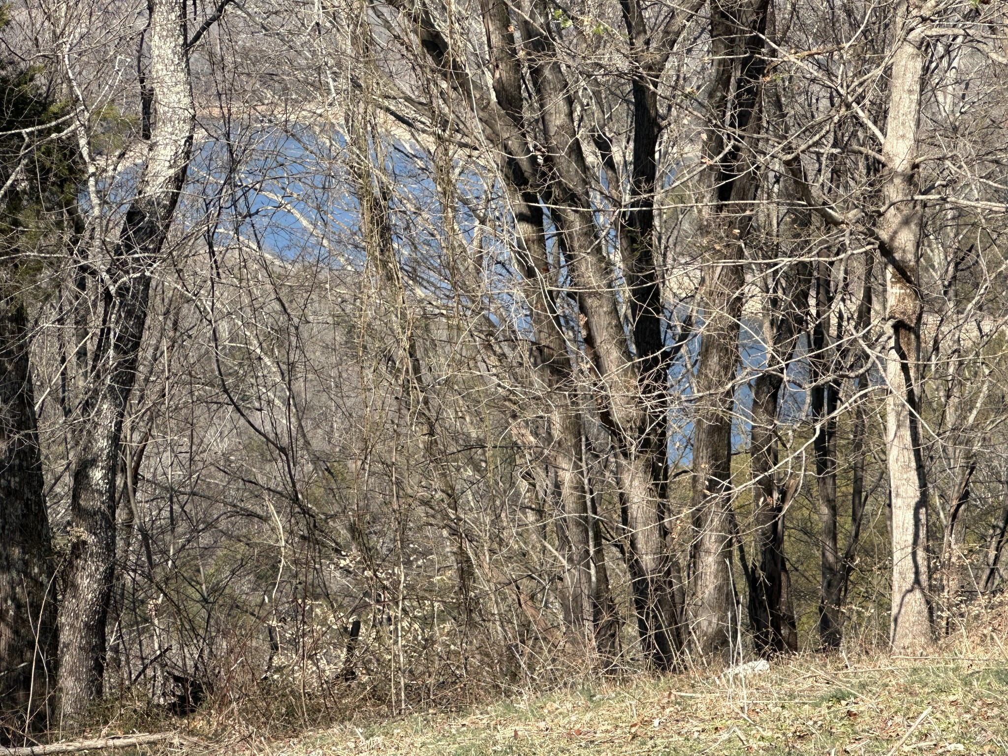 0 Hurricane Ridge Rd