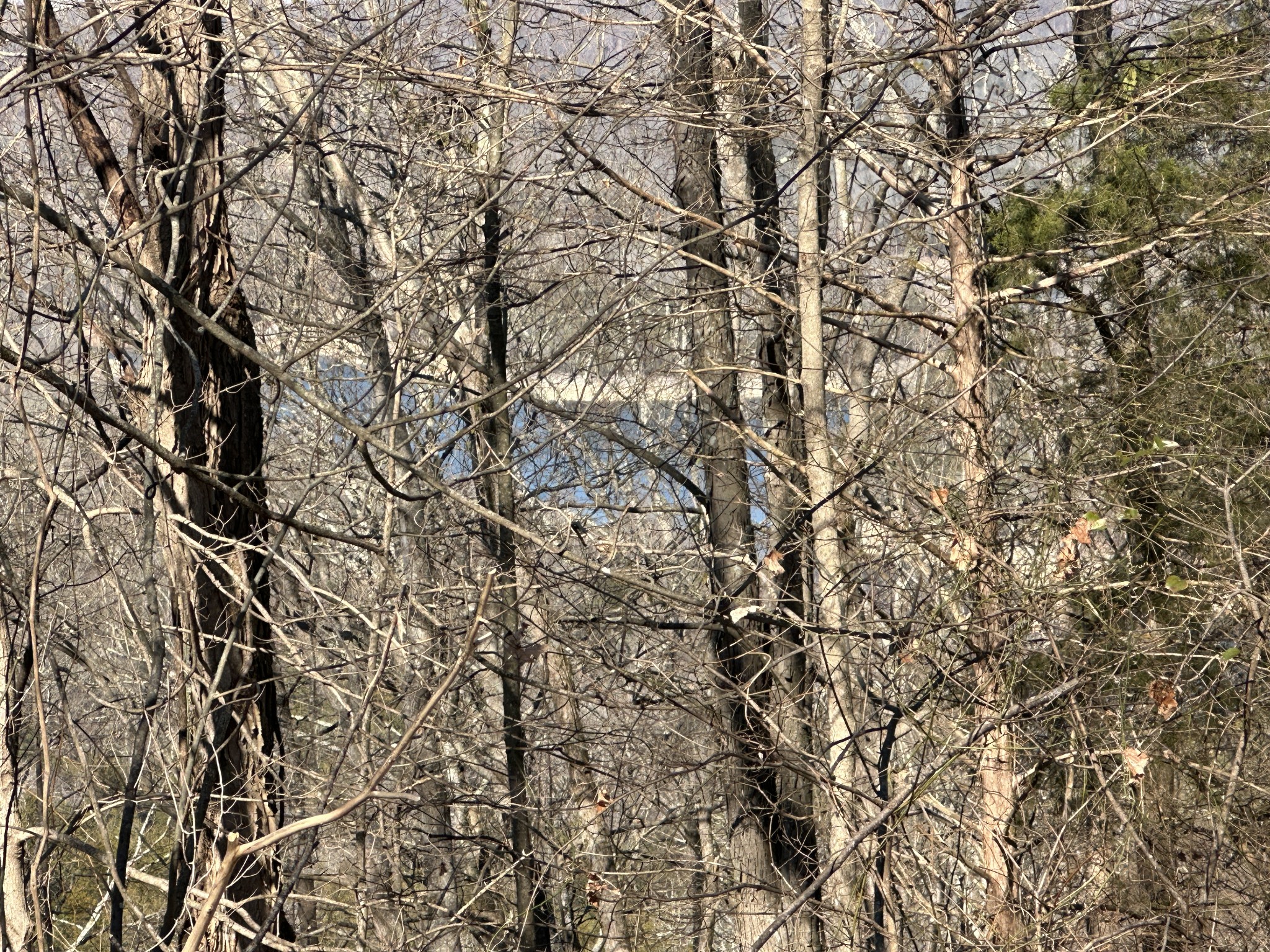 0 Hurricane Ridge Rd