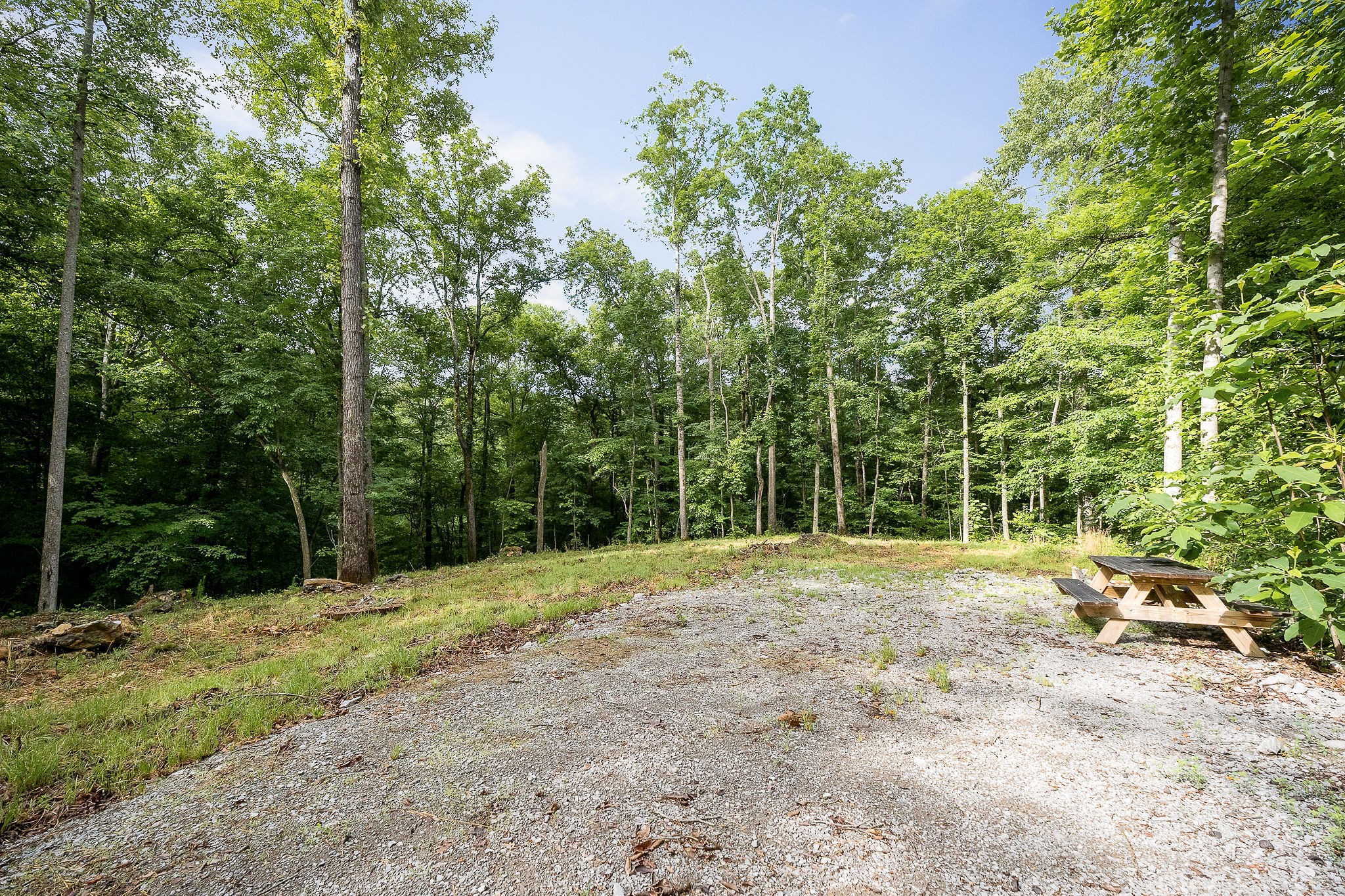 222 Witherspoon Dr