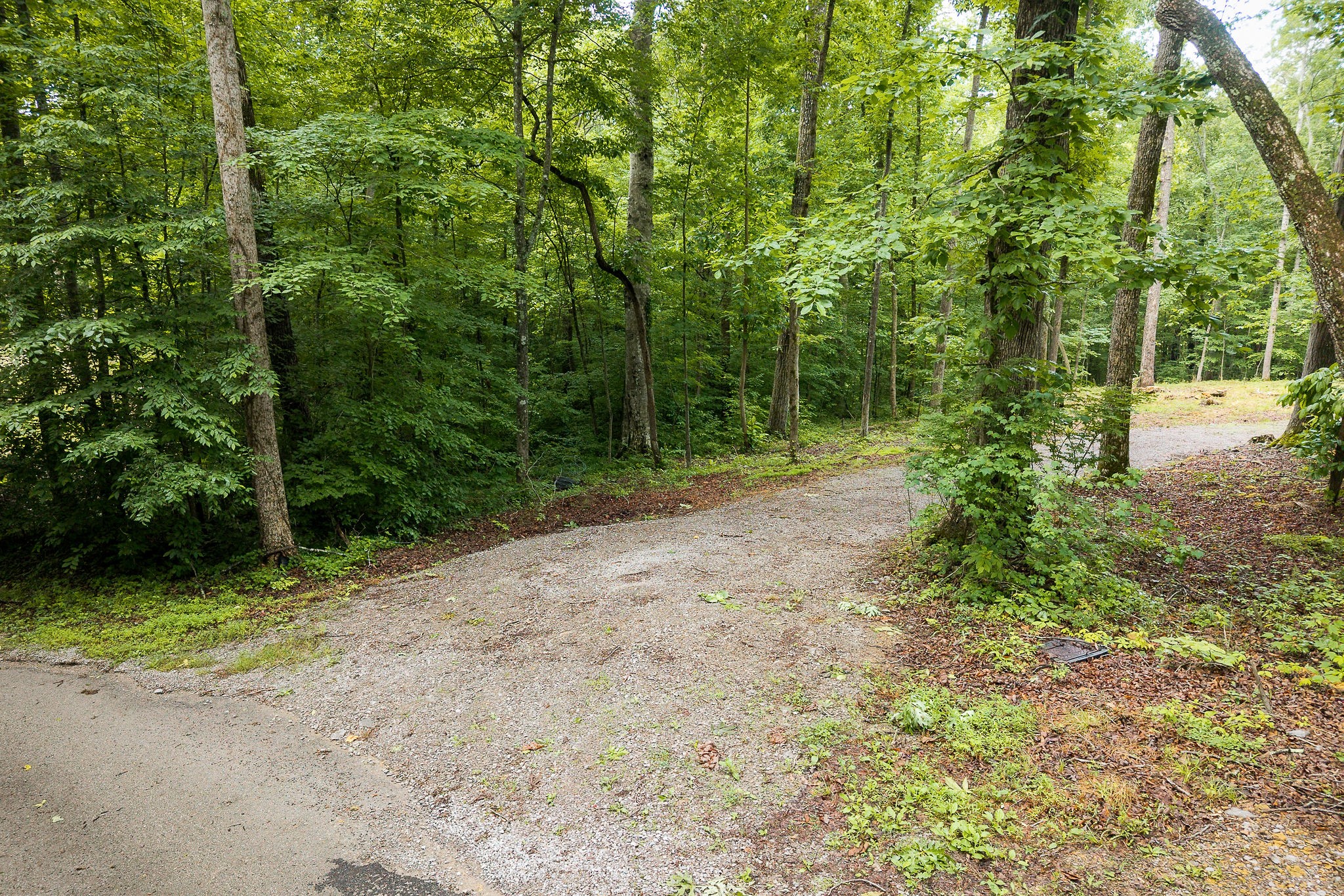 222 Witherspoon Dr