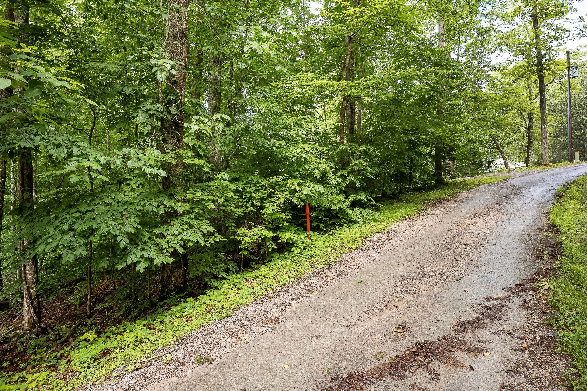 222 Witherspoon Dr