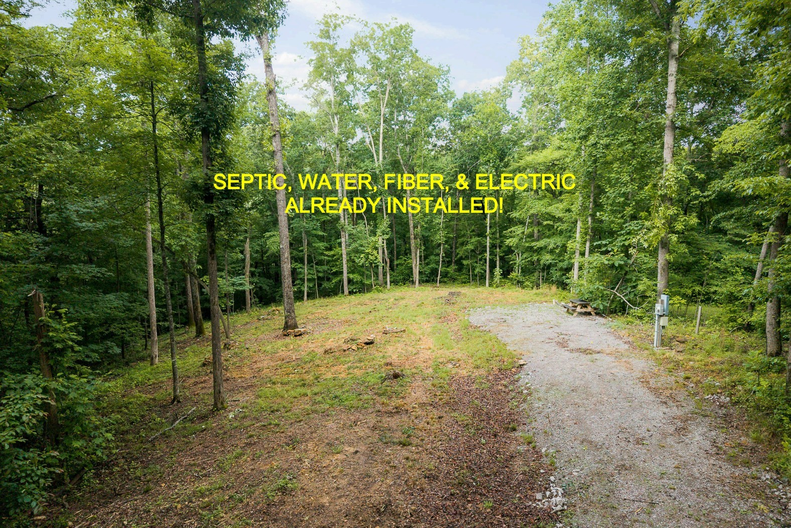222 Witherspoon Dr