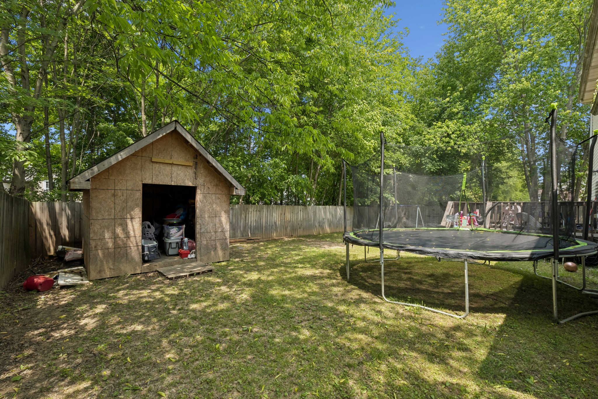 1036 Roedeer Dr