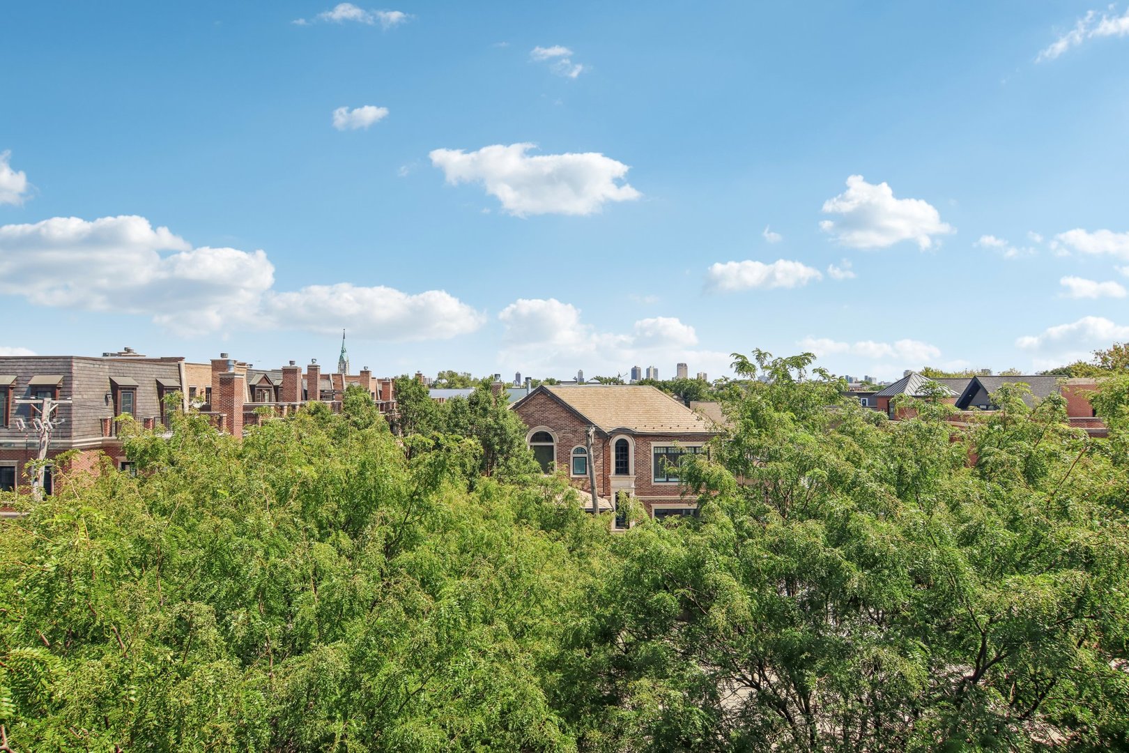 2850 N Paulina Street Unit: TH