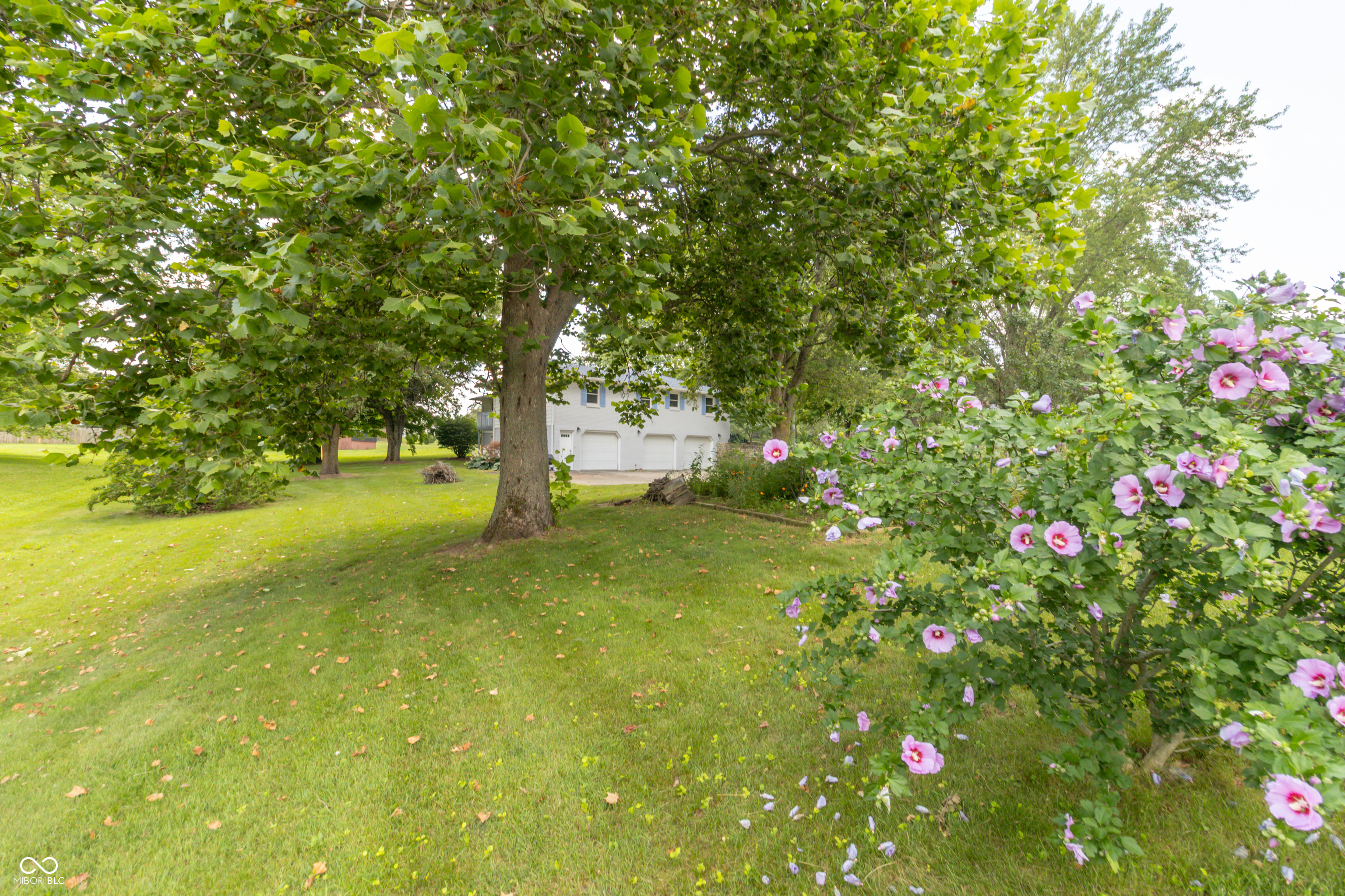720 Suzanne Court
