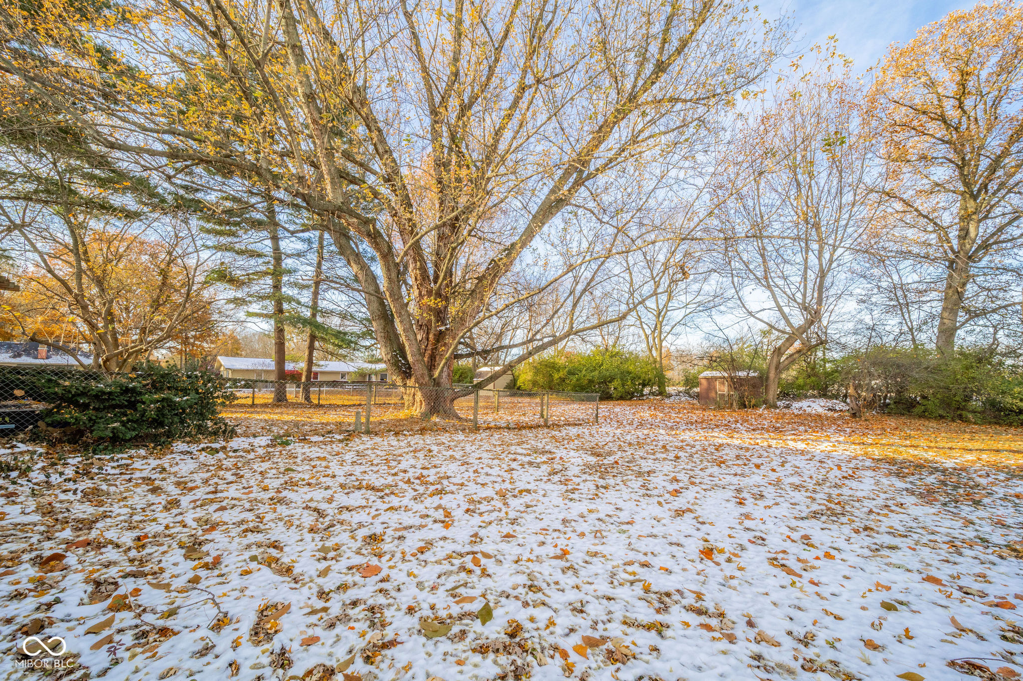 1509 N Buckeye Road