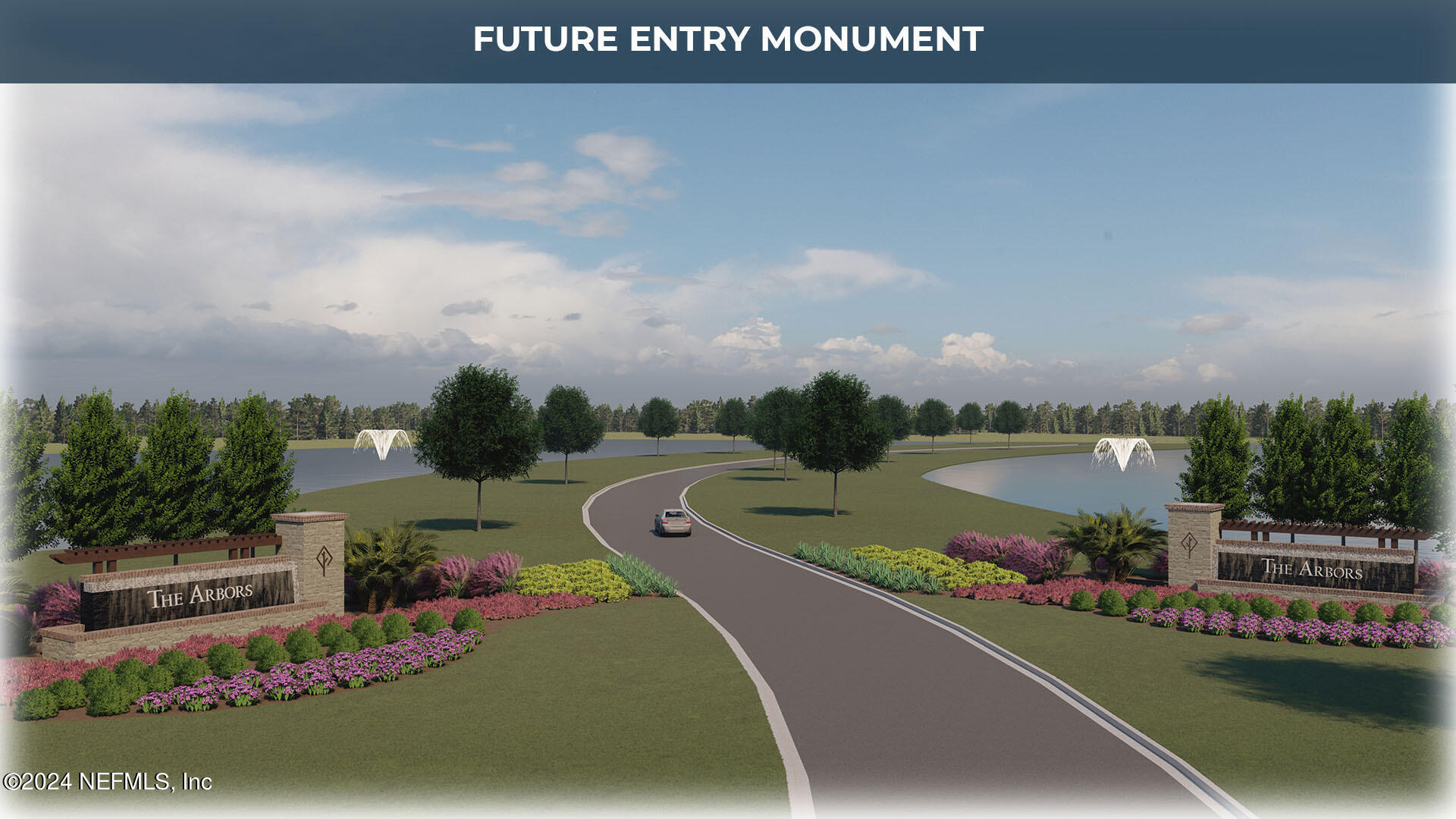 12890 RUBBER FIG Terrace