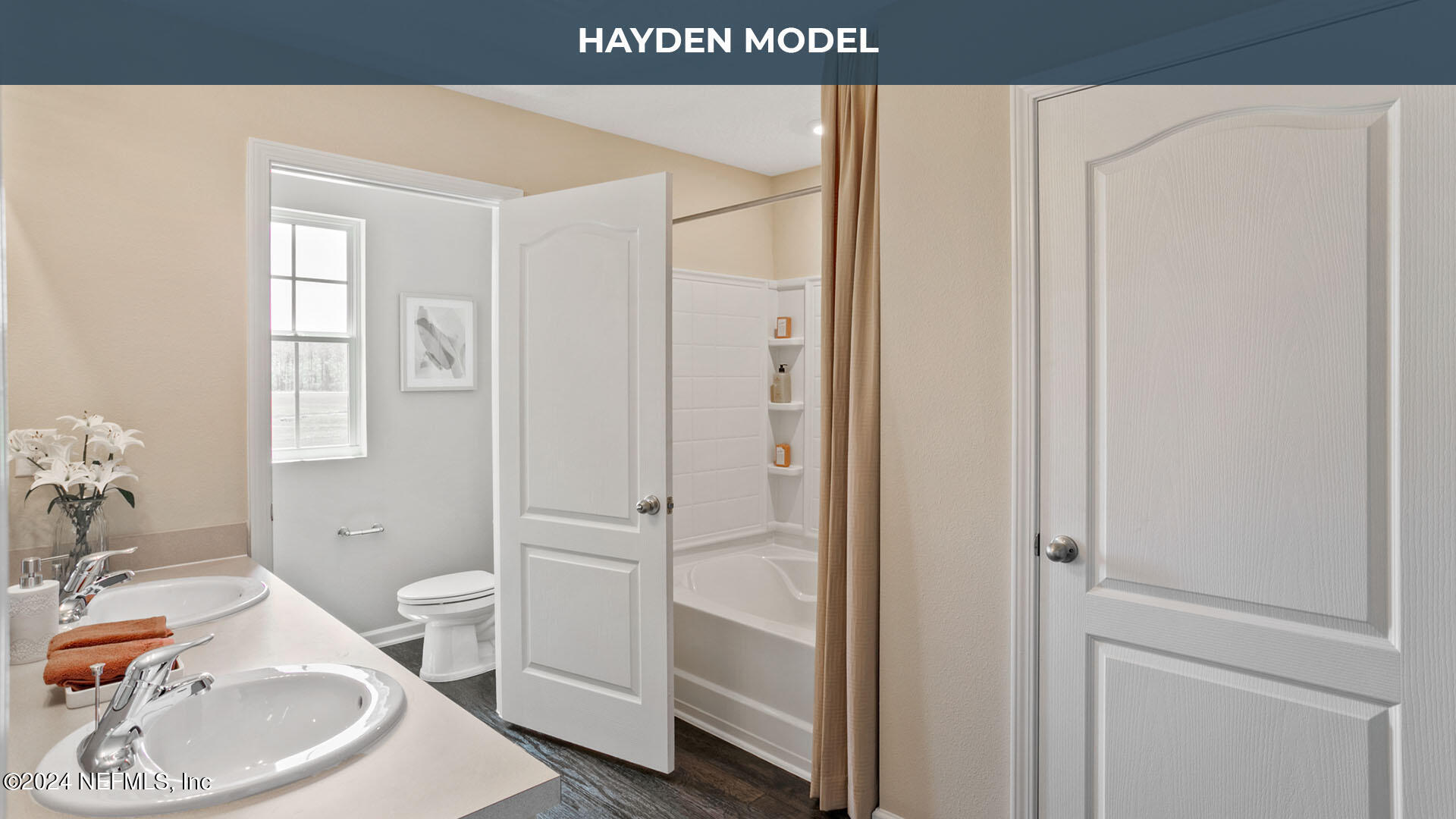 12903 RUBBER FIG Terrace