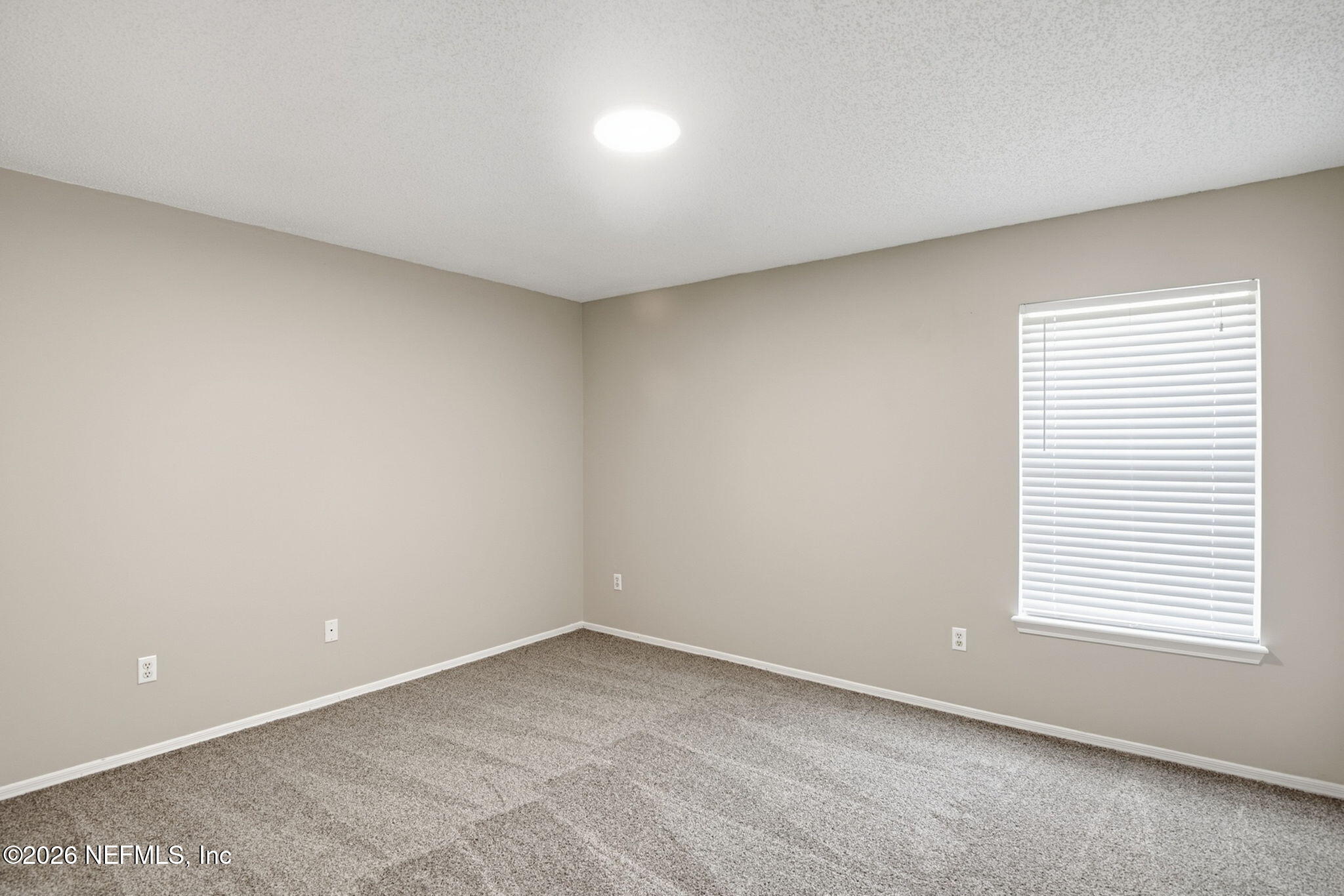 2013 PIPING PLOVER Way