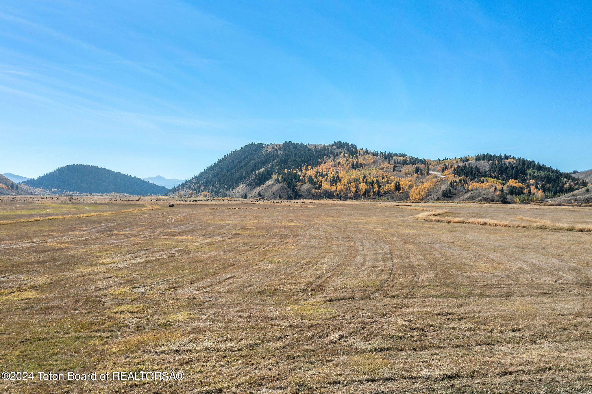 955 RED TAIL BUTTE Road
