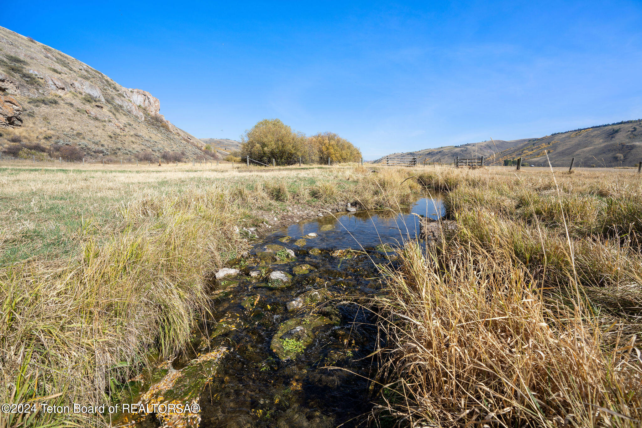 955 RED TAIL BUTTE Road