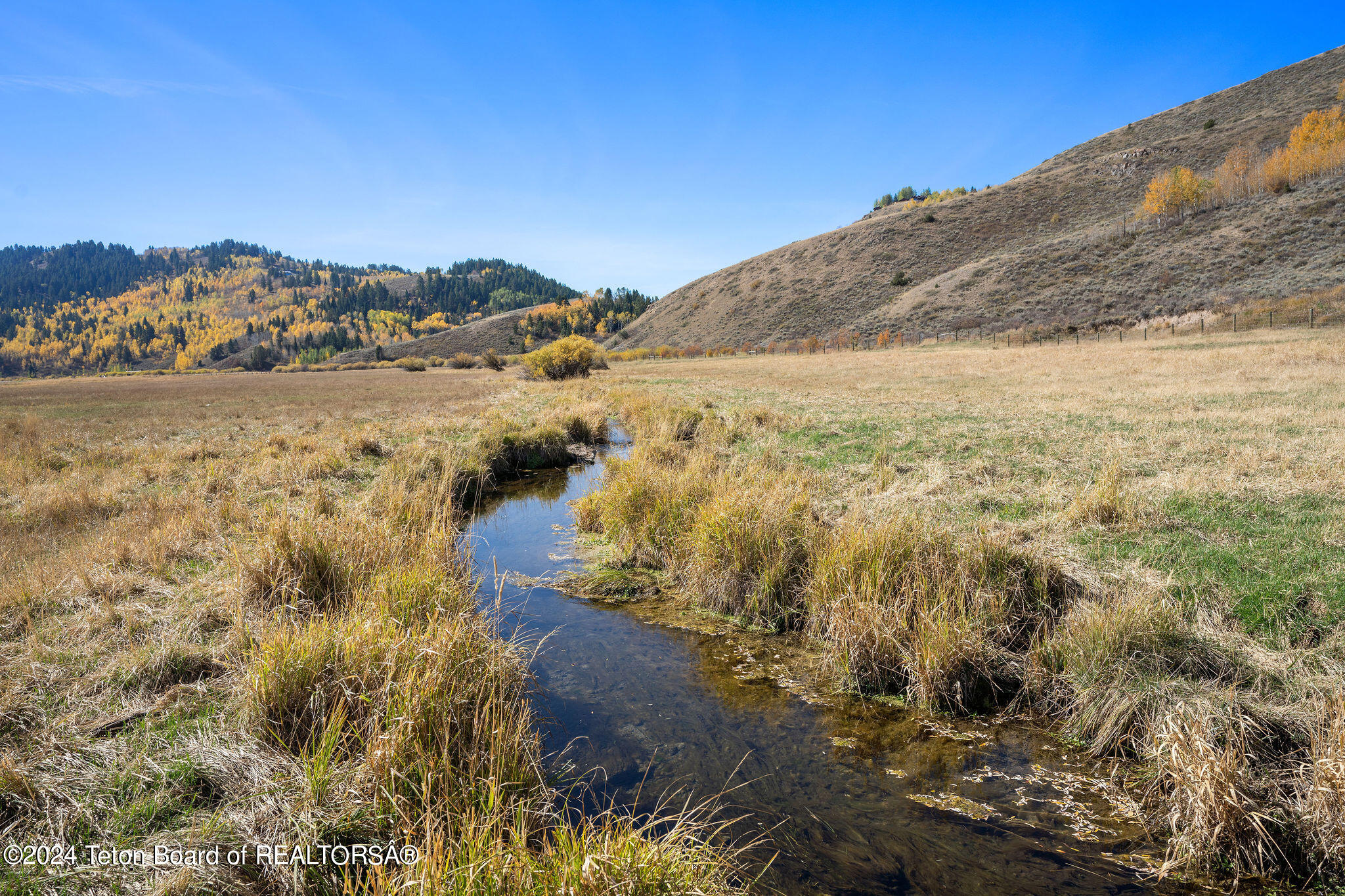 955 RED TAIL BUTTE Road