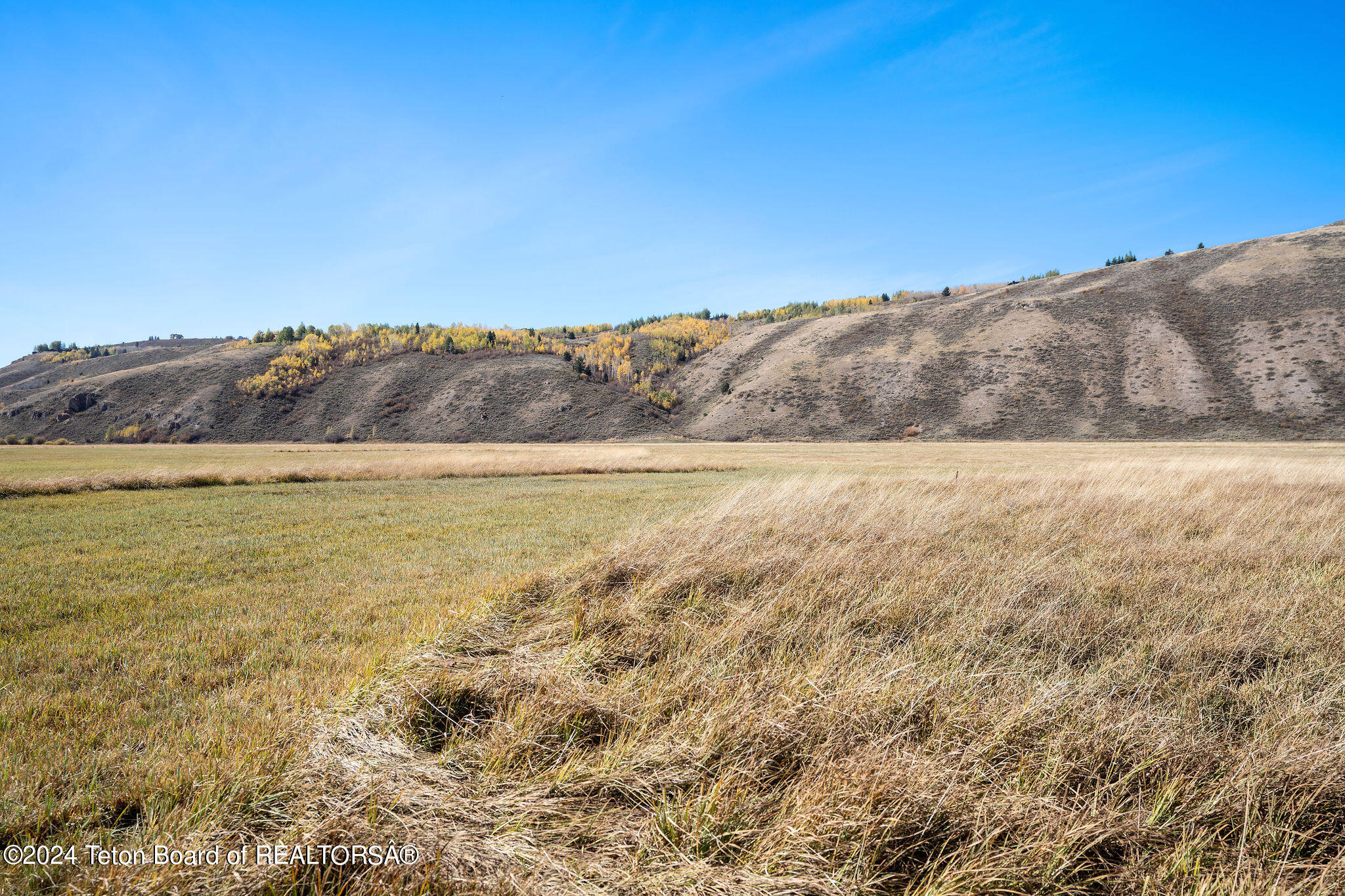 2100 N SPRING GULCH Road