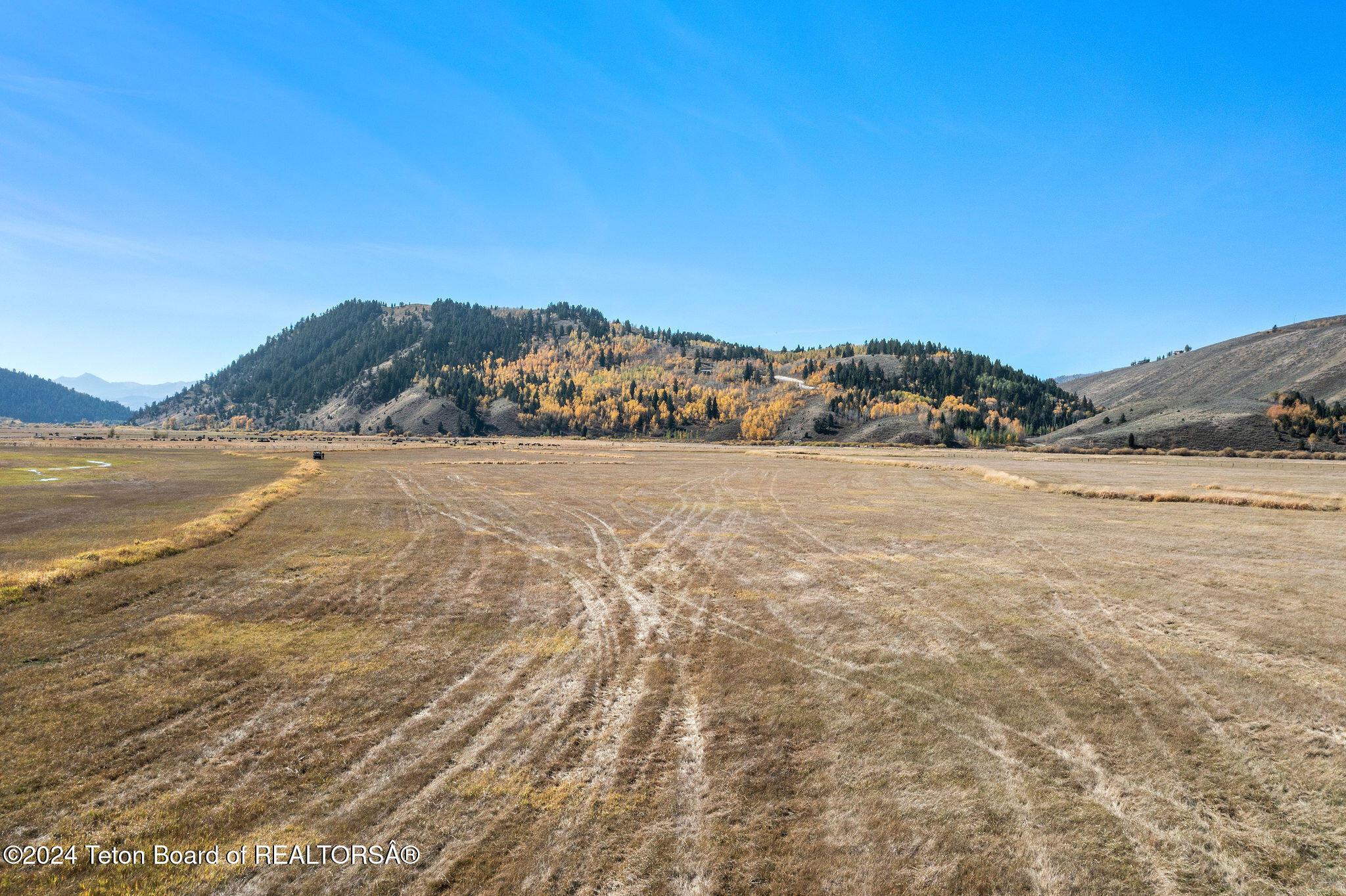 955 RED TAIL BUTTE Road