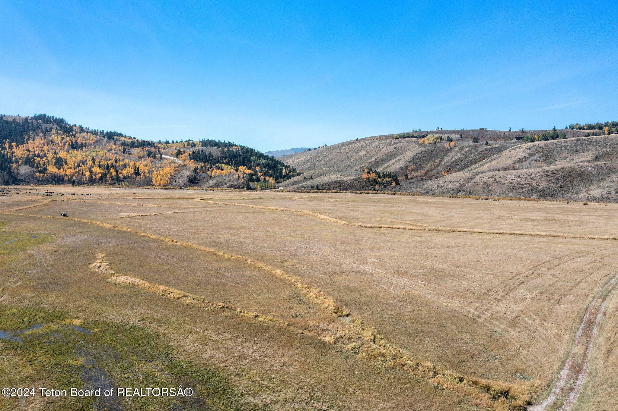 955 RED TAIL BUTTE Road