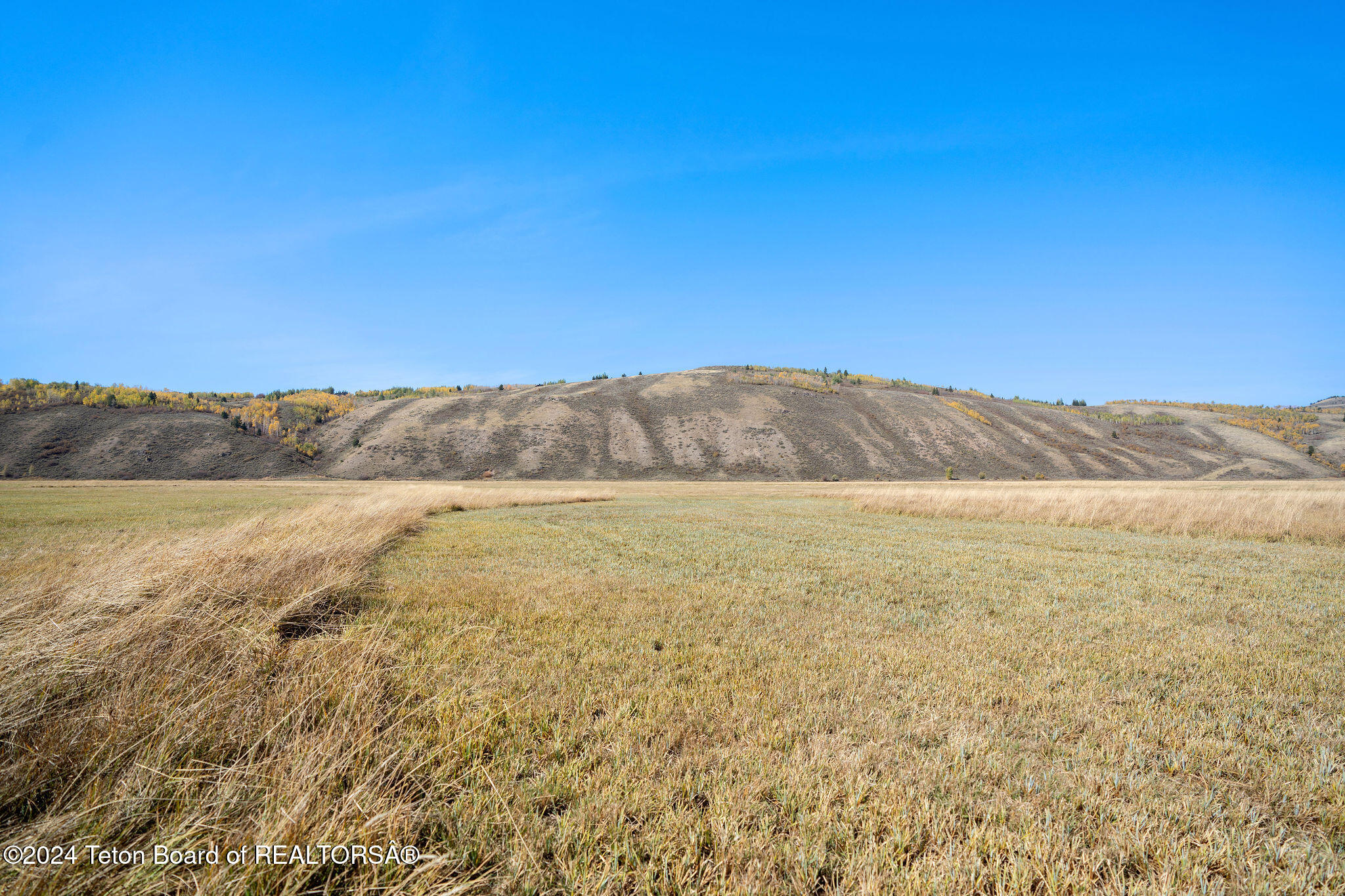 2100 N SPRING GULCH