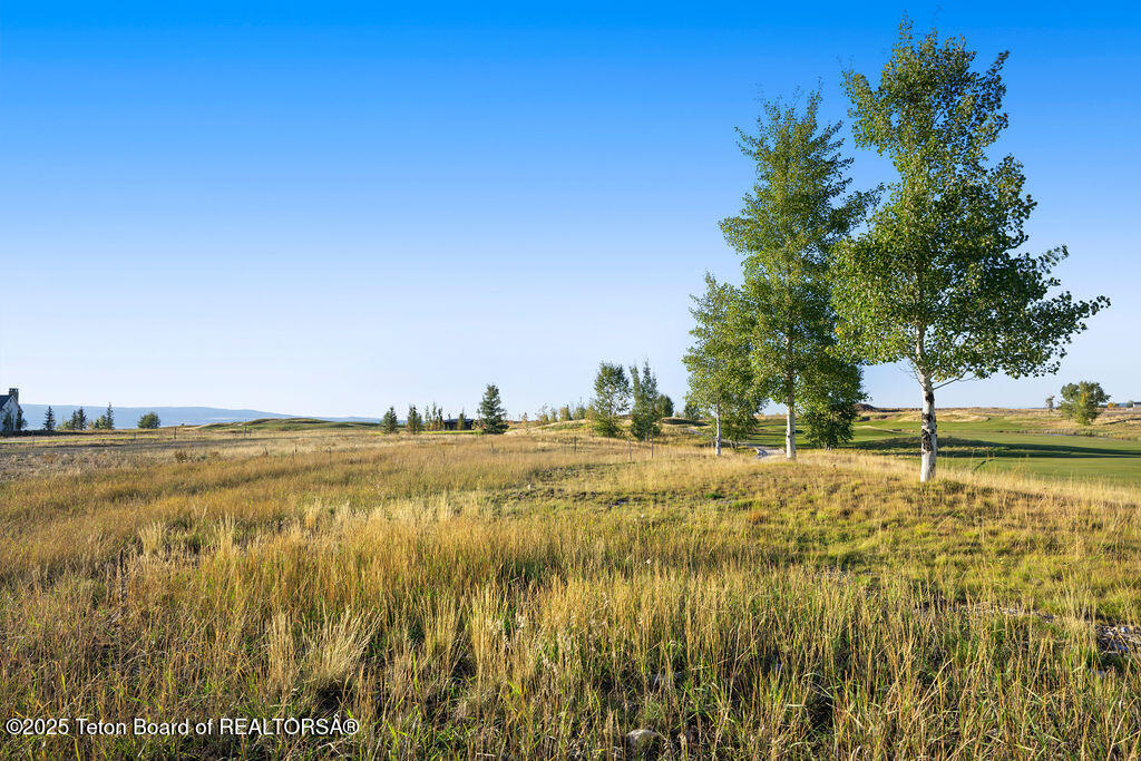 1457 WOOD LILY Drive