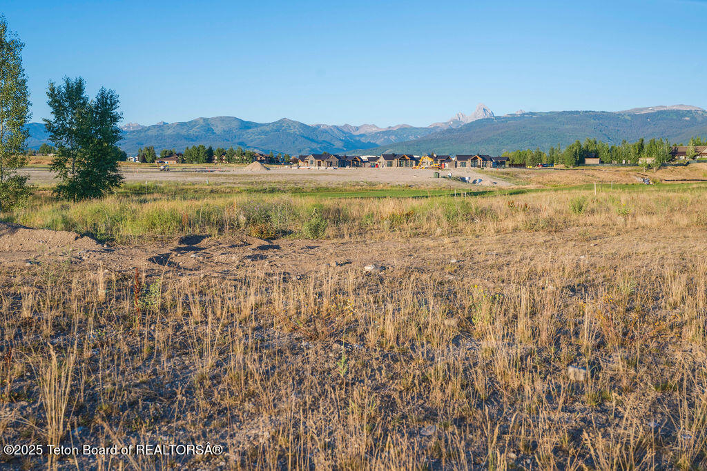 1457 WOOD LILY Drive