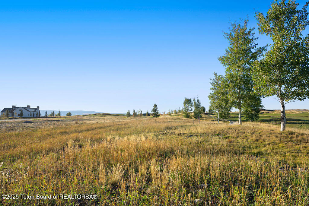 1457 WOOD LILY Drive