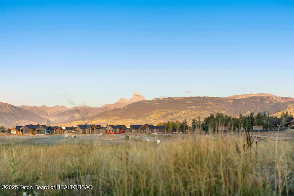 1457 WOOD LILY Drive