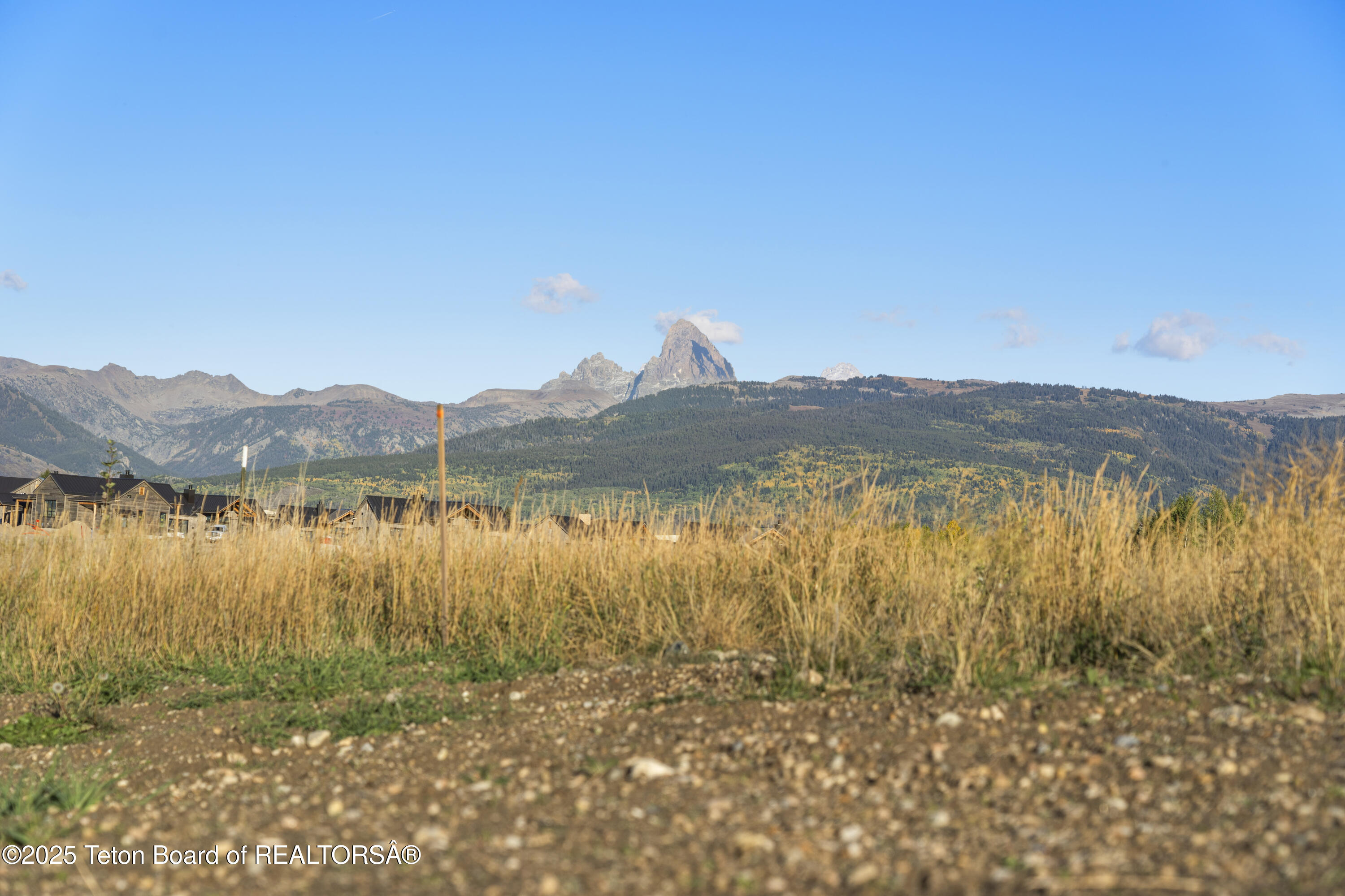 1457 WOOD LILY Drive