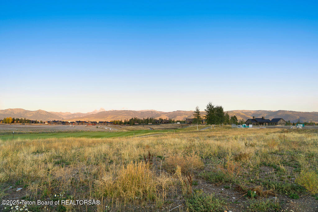 1457 WOOD LILY Drive