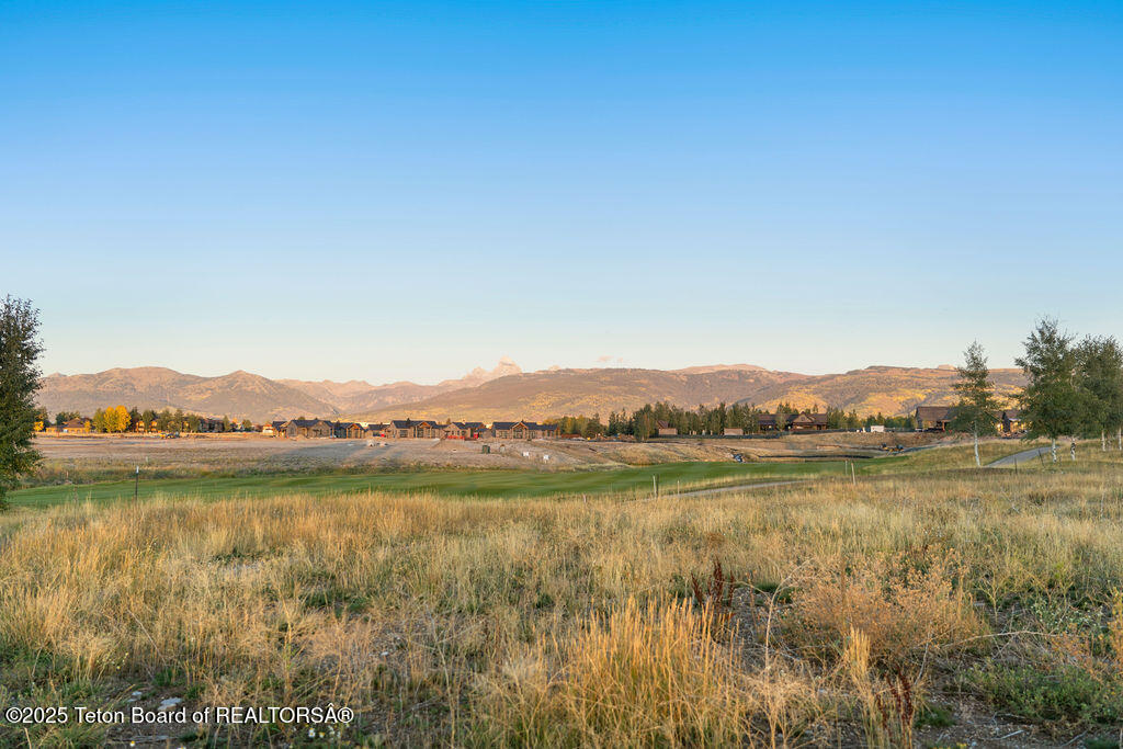 1457 WOOD LILY Drive