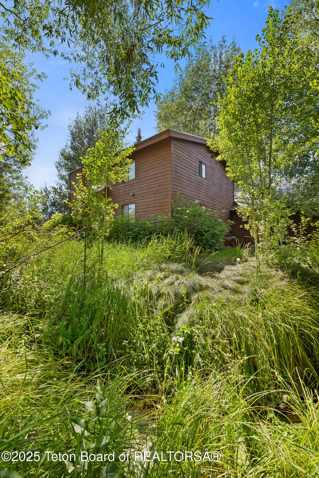 3150 W KING EIDER Road