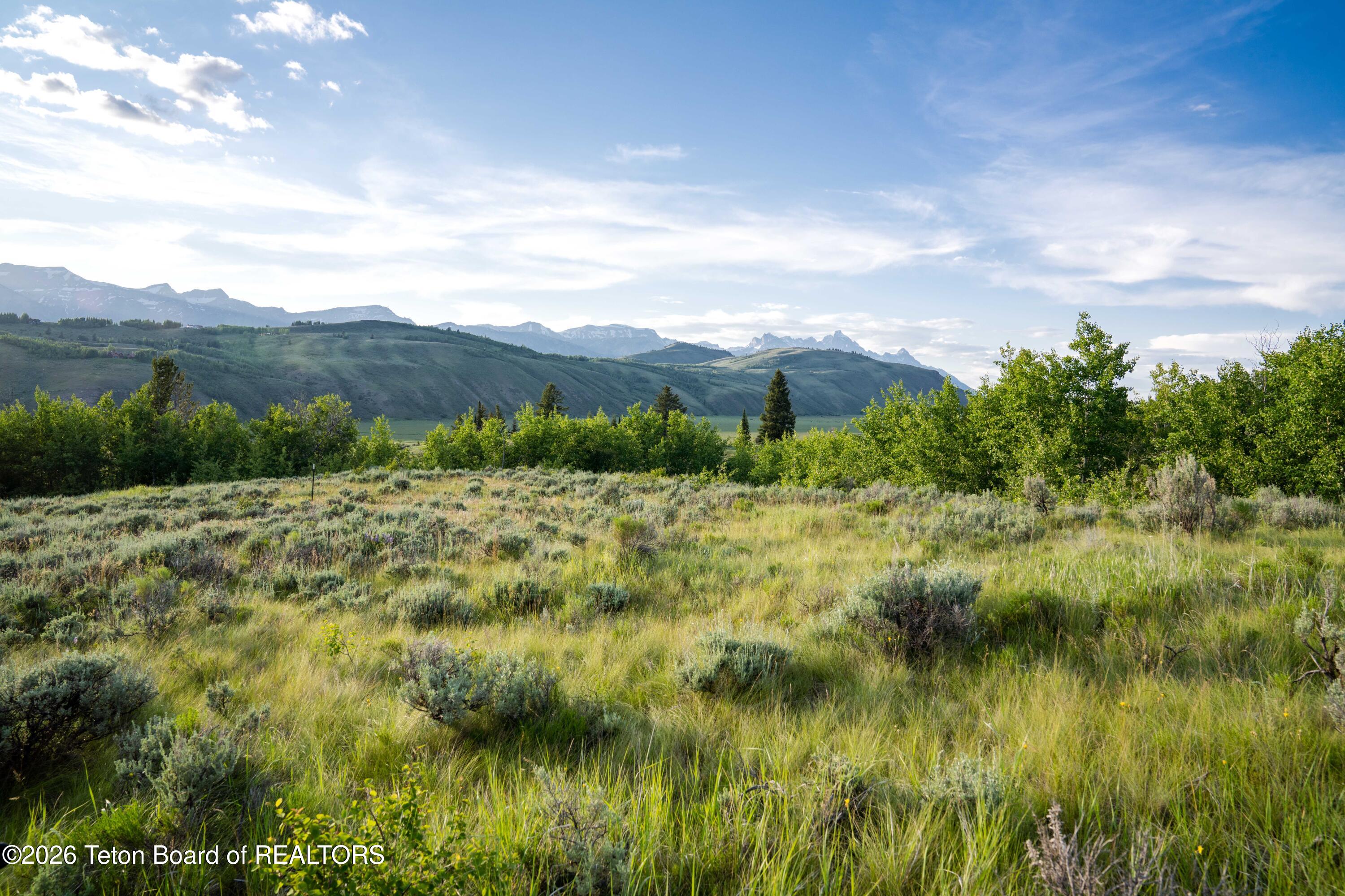 SPRING GULCH Road