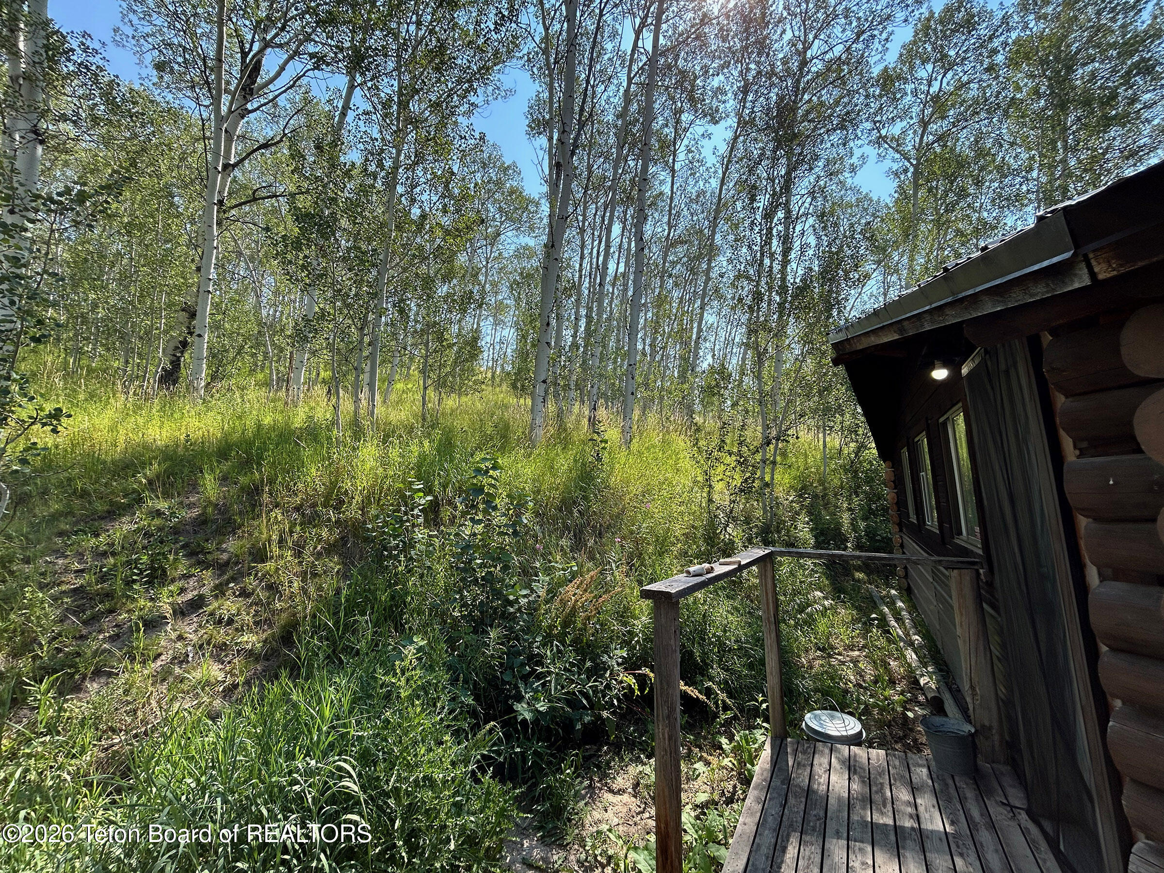 3905 W FORK FALL CREEK Road