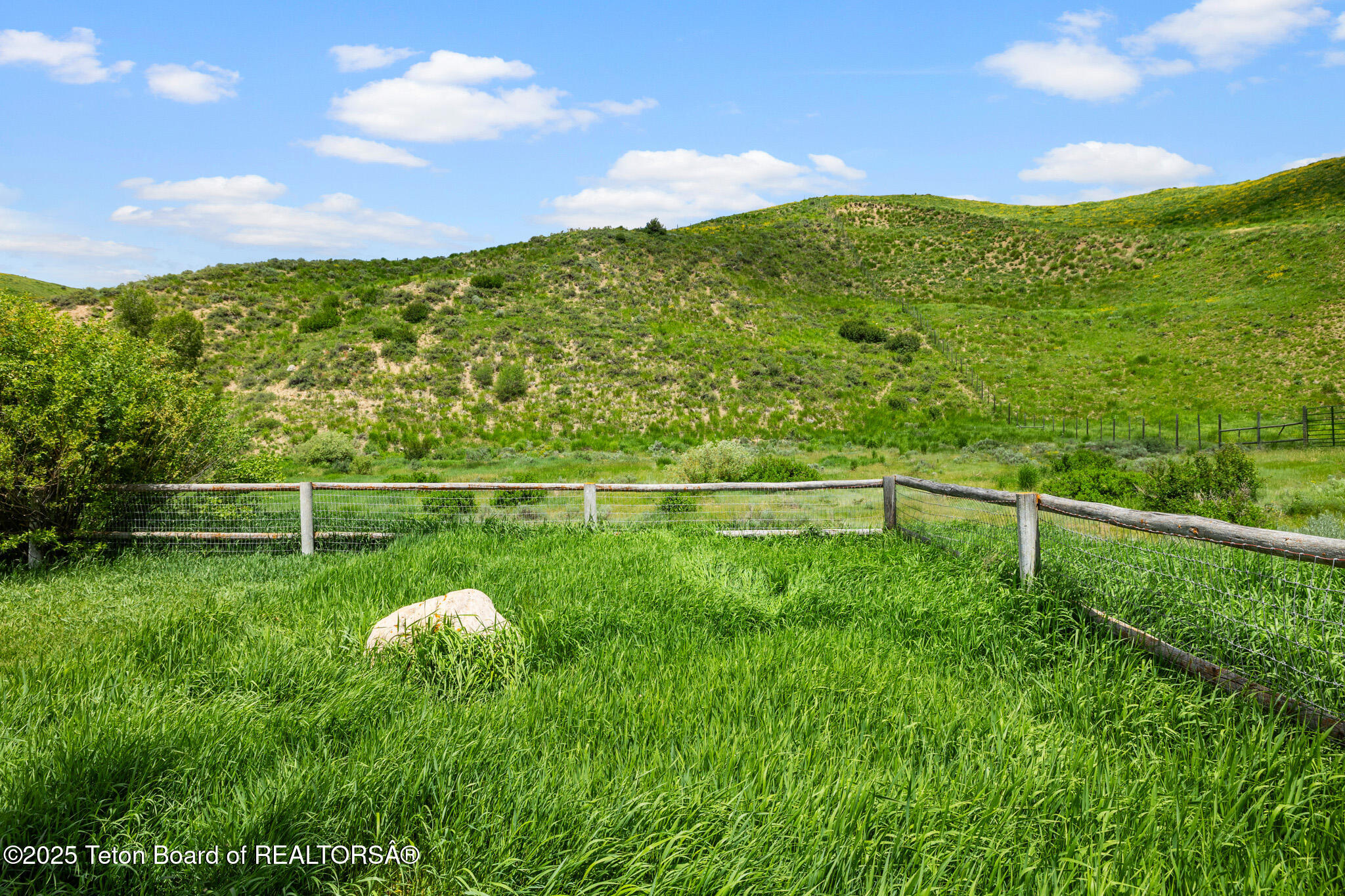 3355 E HORSE CREEK Road