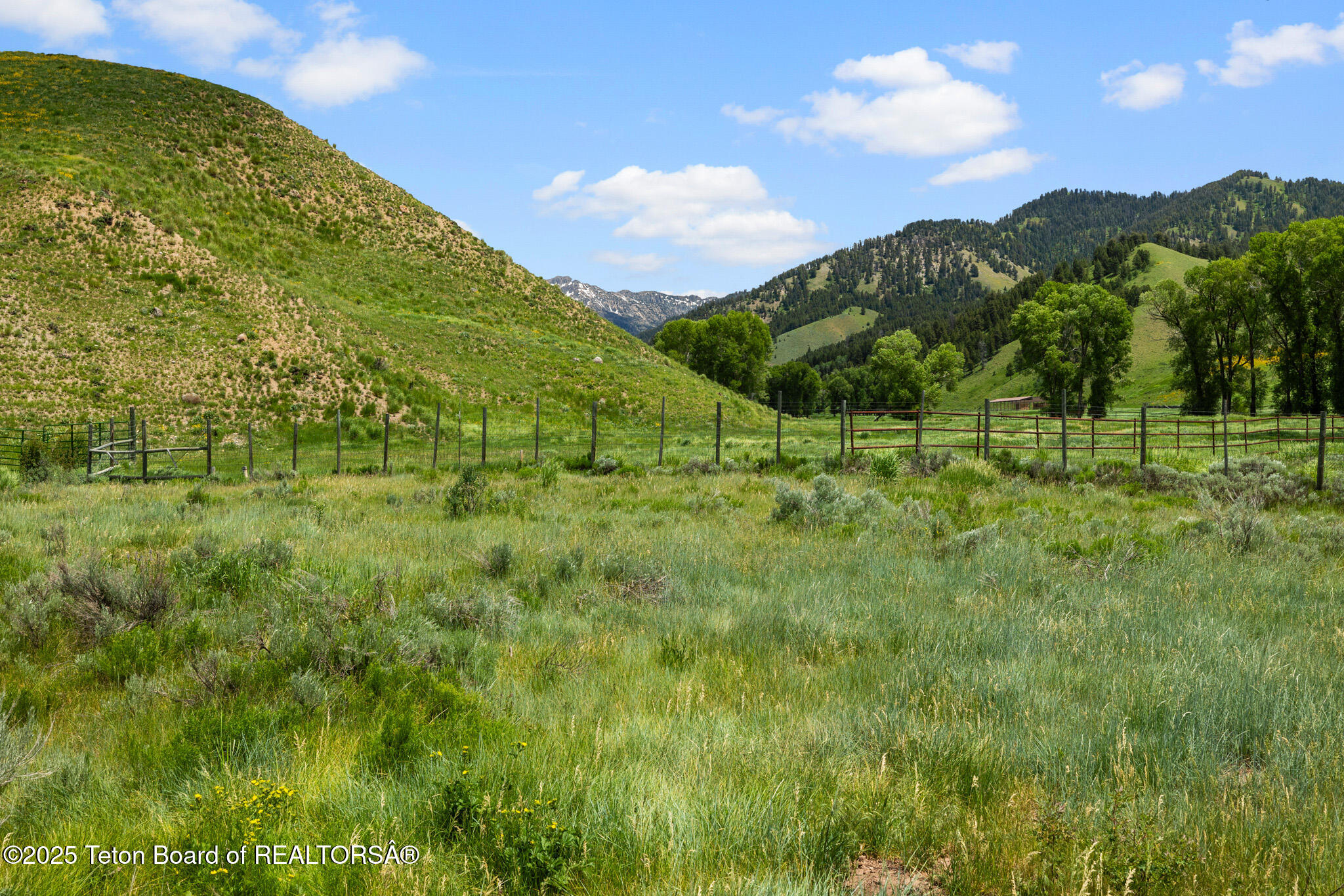 3355 E HORSE CREEK Road