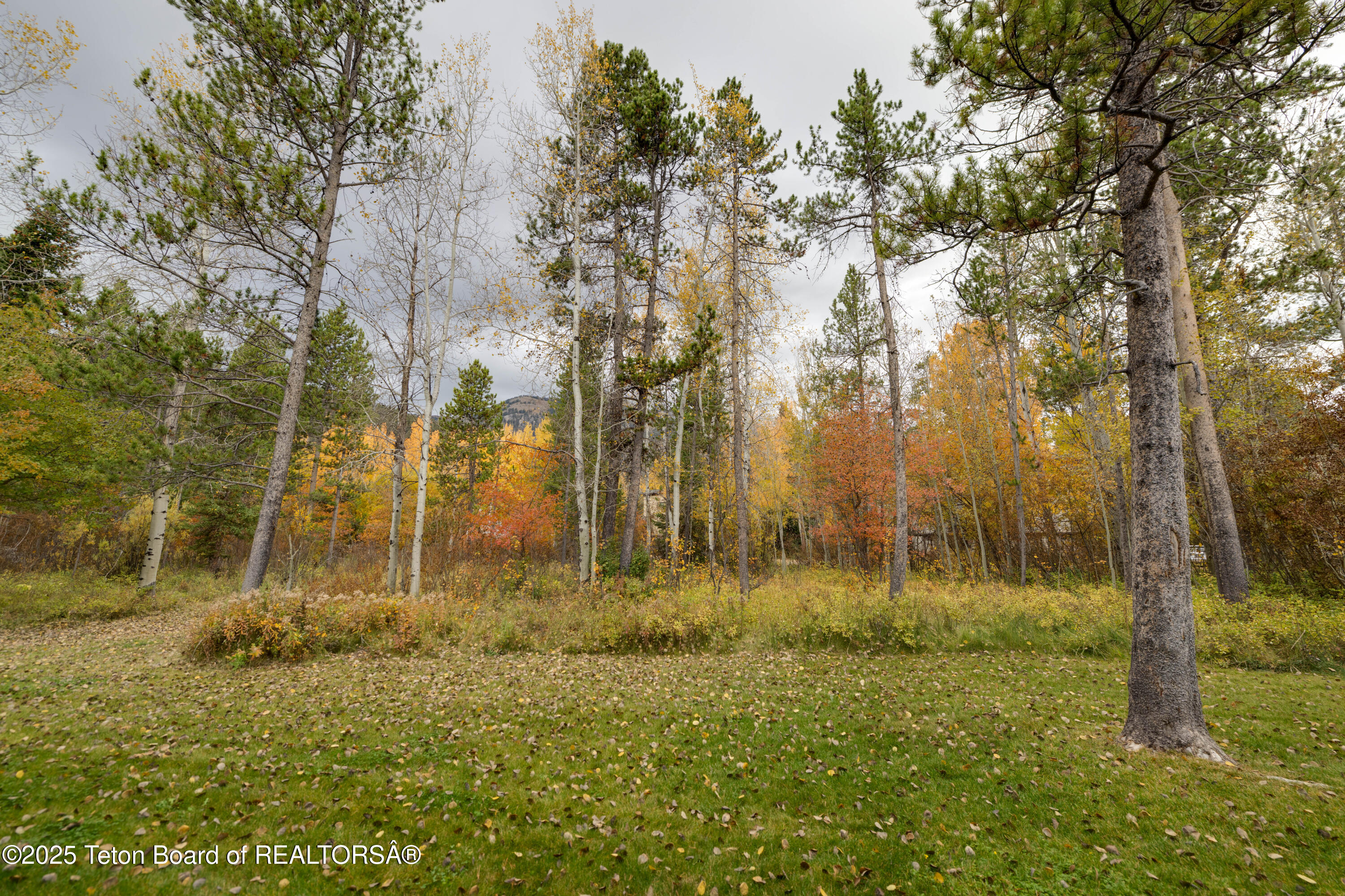 4450 BERRY Drive 39 1-2