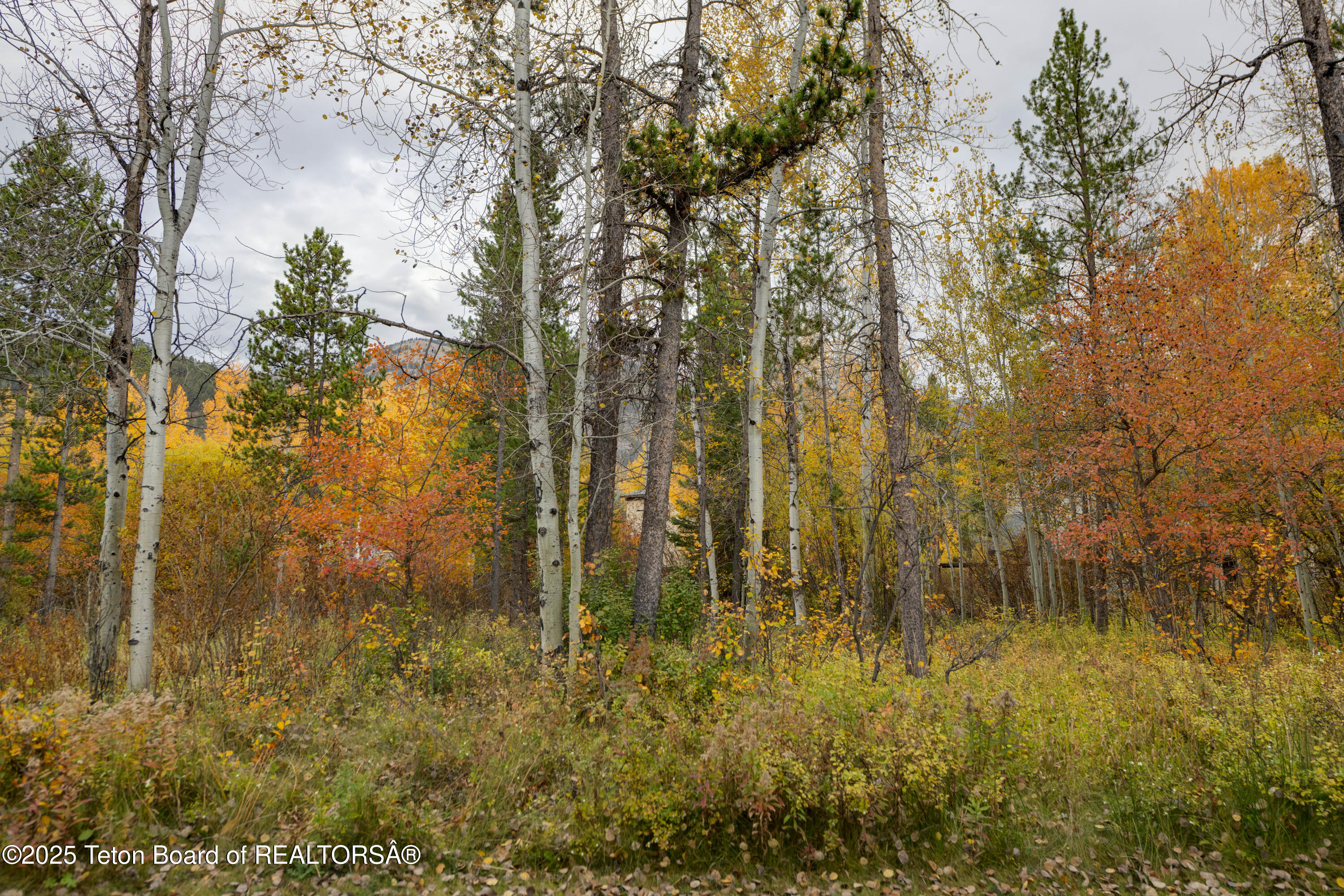 4450 BERRY Drive 39 1-2