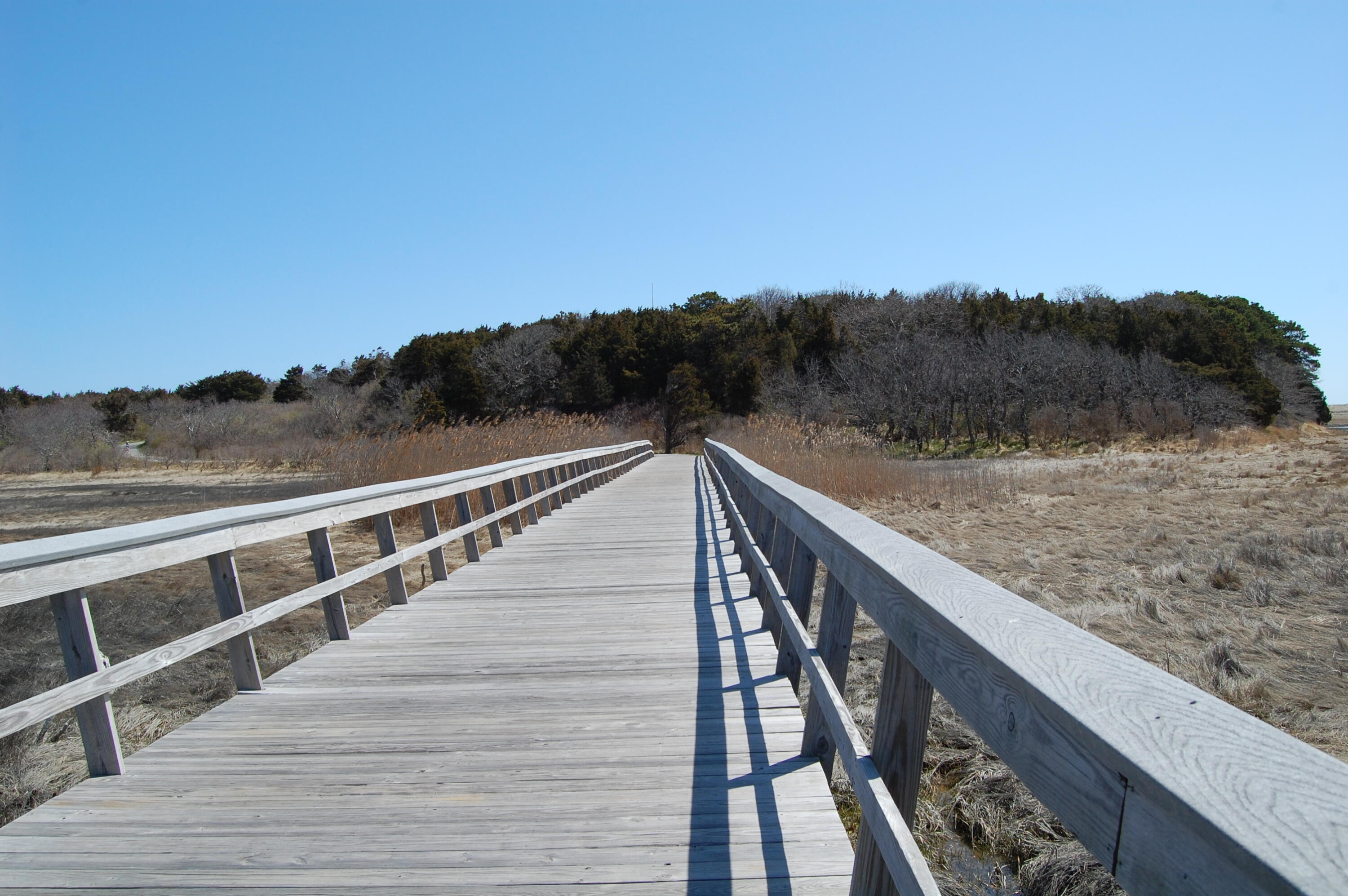 300 Goody Hallet Drive