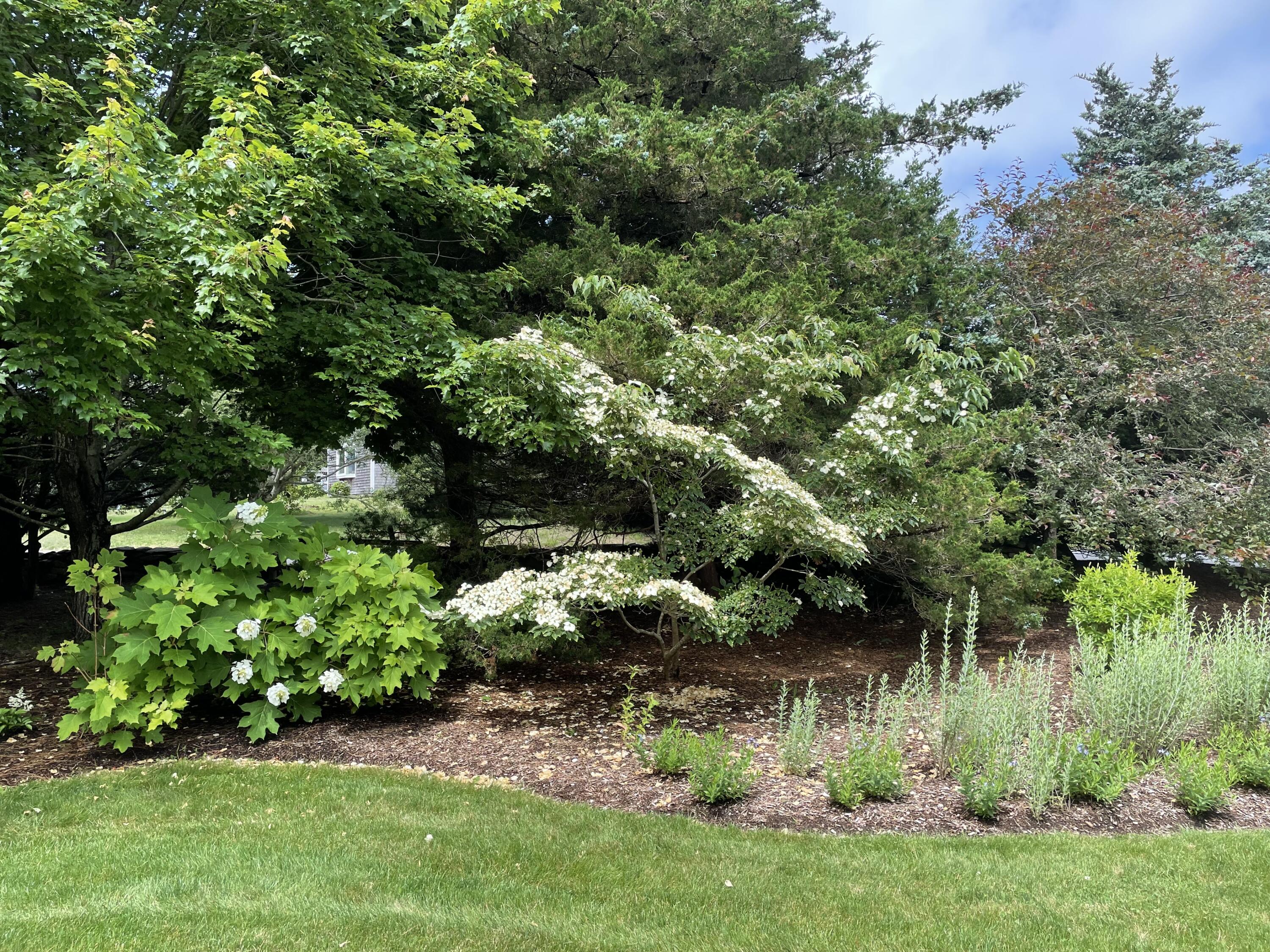 300 Goody Hallet Drive