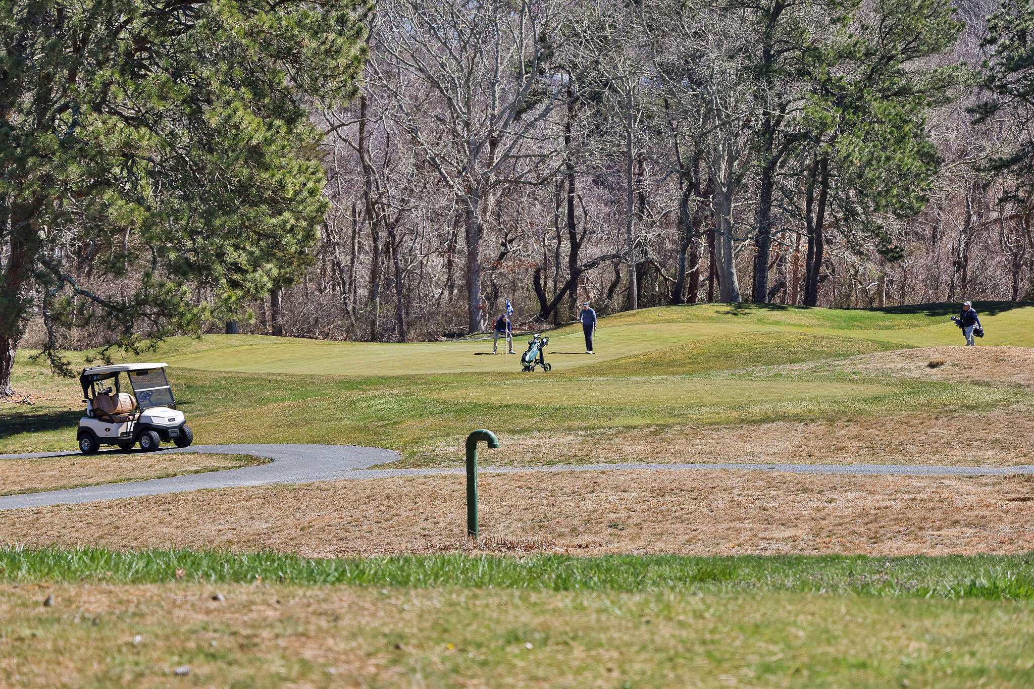 128 Chilton Lane # 128