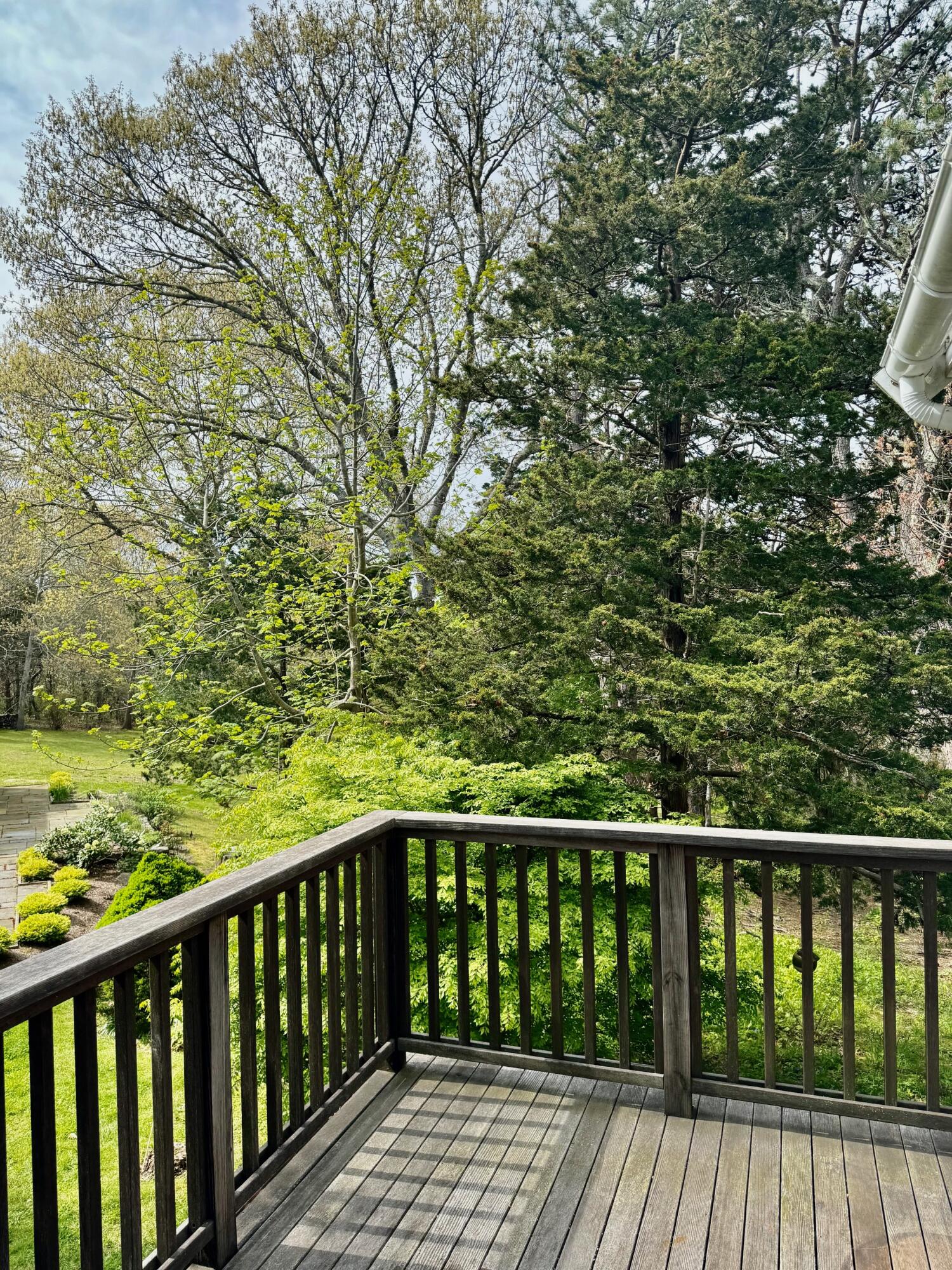 24 Camp Road